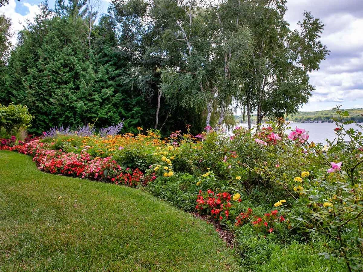Colorful flower garden with various blooming flowers near a river, surrounded by trees and grass.