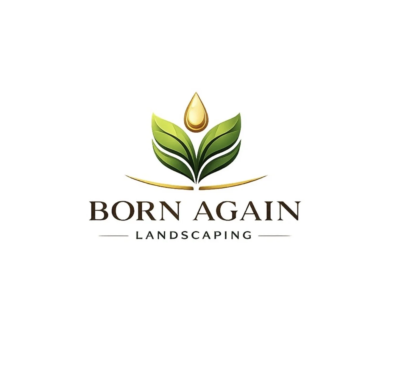 Born Again Outdoor Services