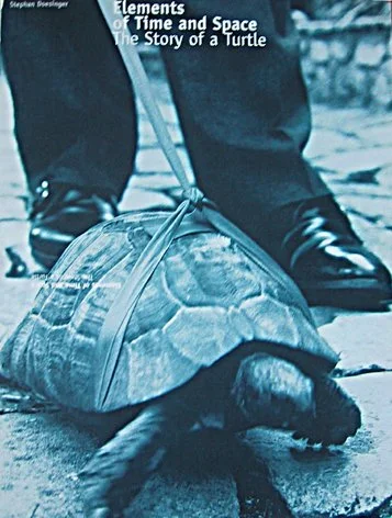 Book cover entitled 'Elements of Time and Space: The Story of a Turtle' by Stephan Doesinger and published by Elipsis London