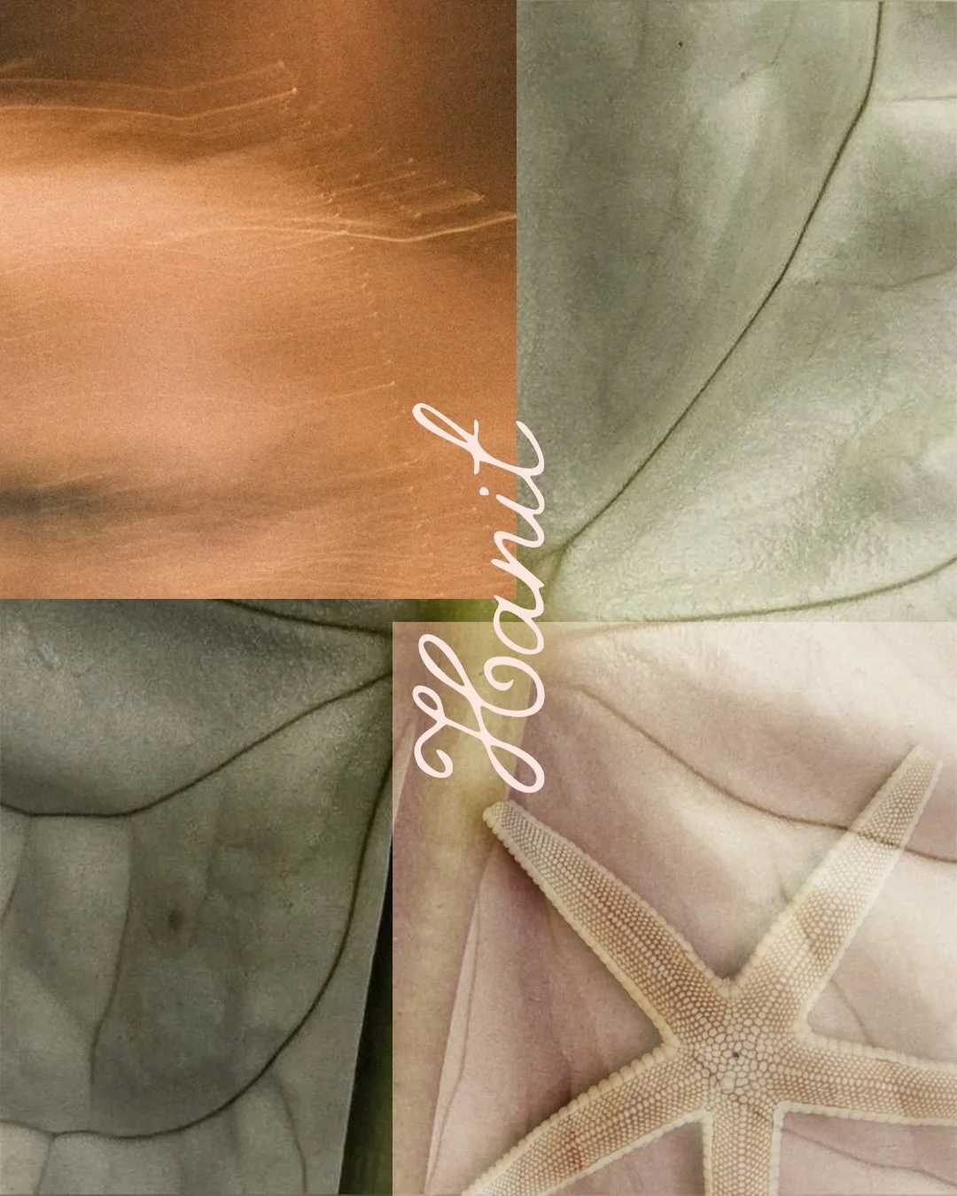 New brand identity for Hanit, created in a Brand Intensity half-day.

Now booking for January &amp; February &mdash; email me hello@assortedgem.com

&bull;
&bull;
&bull;
&bull;
#graphicdesign #branding #logodesign #brandidentity #graphicdesigner #log