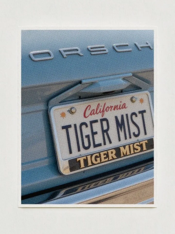 Festival season, through our lens.

Stopping the scroll for @tigermist at Coachella.

#graphicdesign #creativecontent #socialmediamarketing #creativeagency #fashionbranding