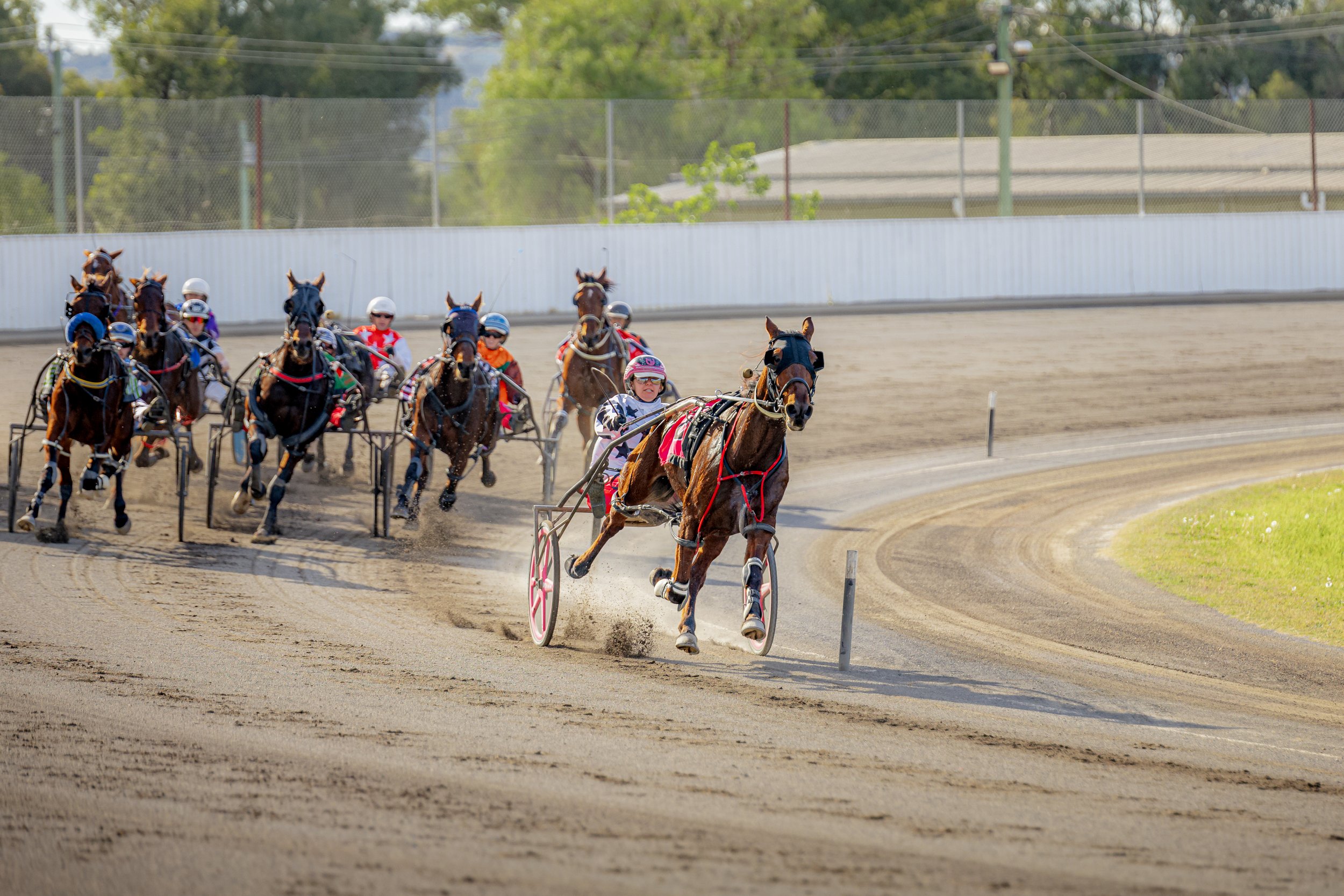 2024_05_30 TAMWORTH TROTS RACES 1-8 -15.jpg