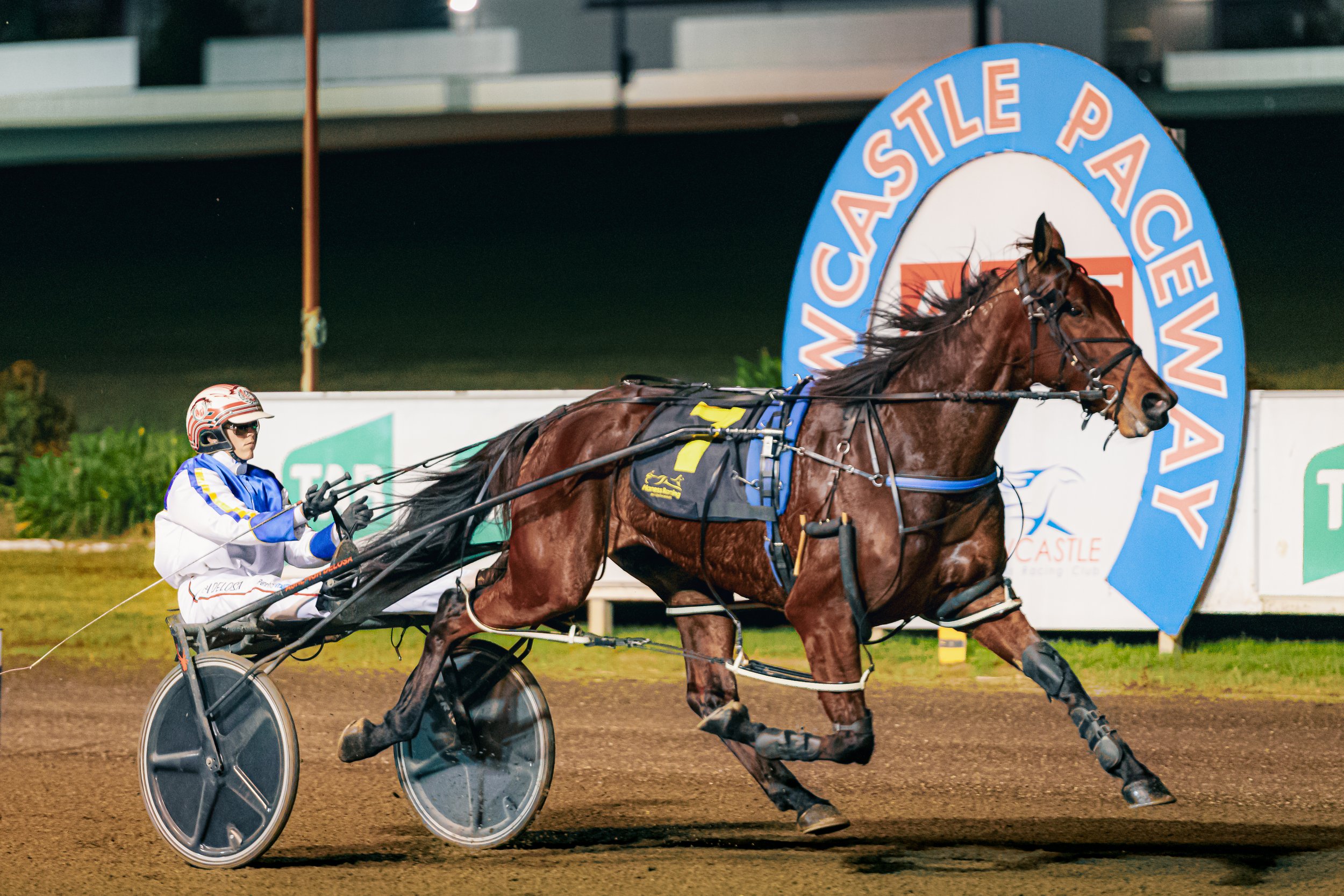 2024_06_07 NEWCASTLE TROTS RACES 1-7 -20.jpg