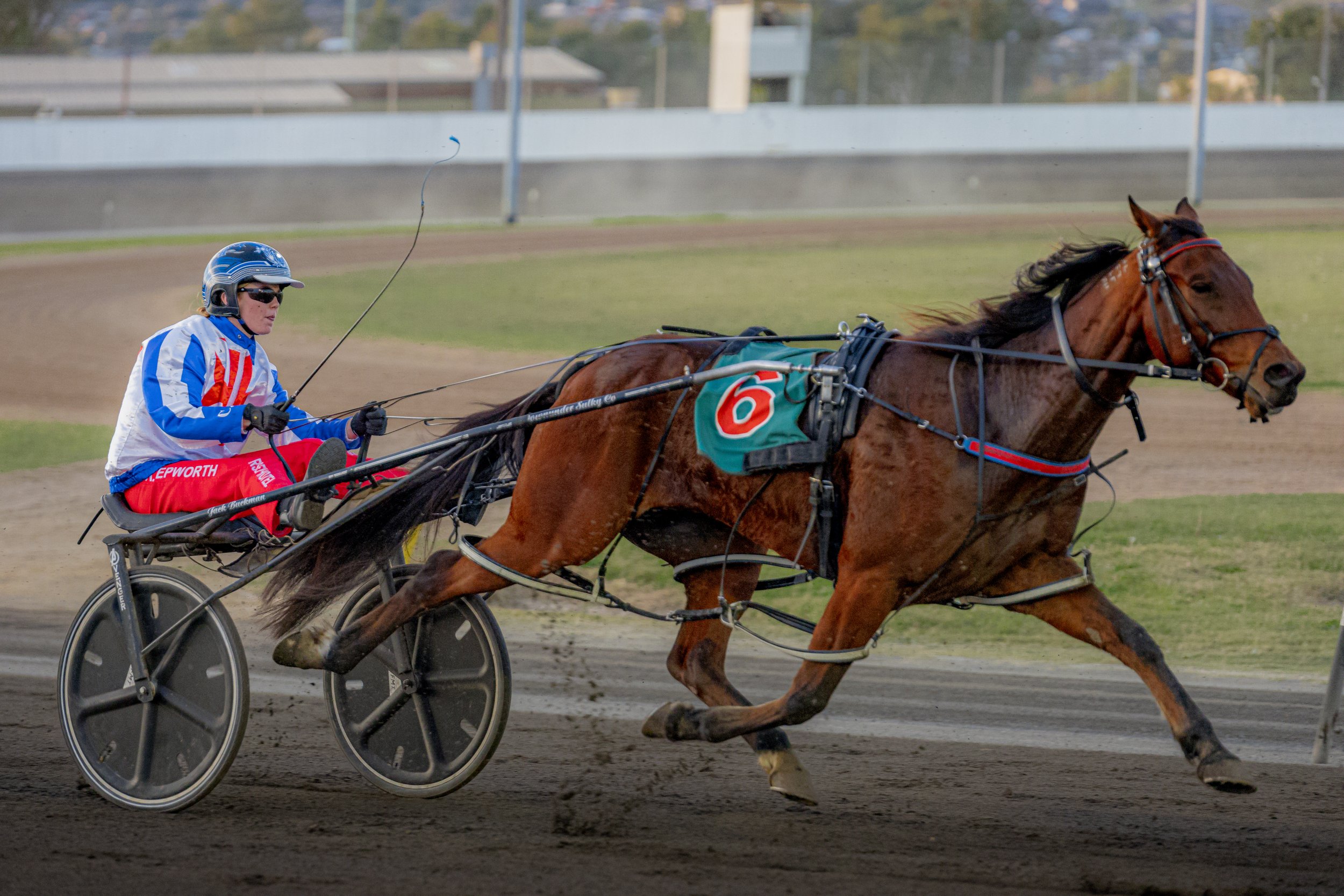 2024_05_30 TAMWORTH TROTS RACES 1-8 -37.jpg