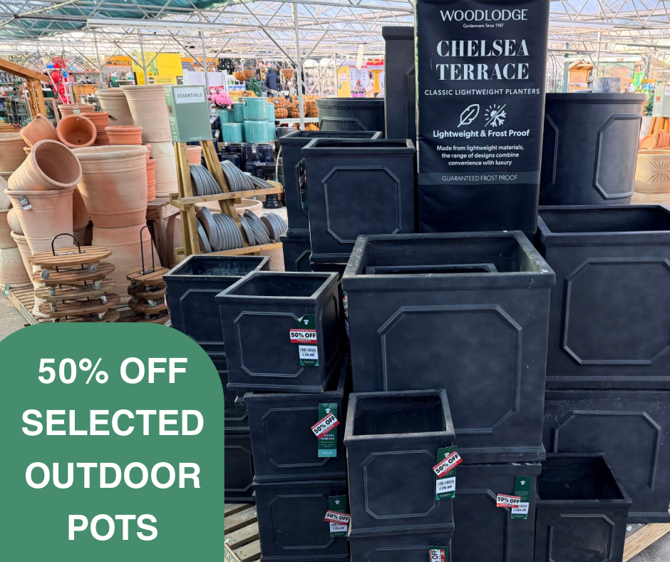 Your paragraph text.PNG