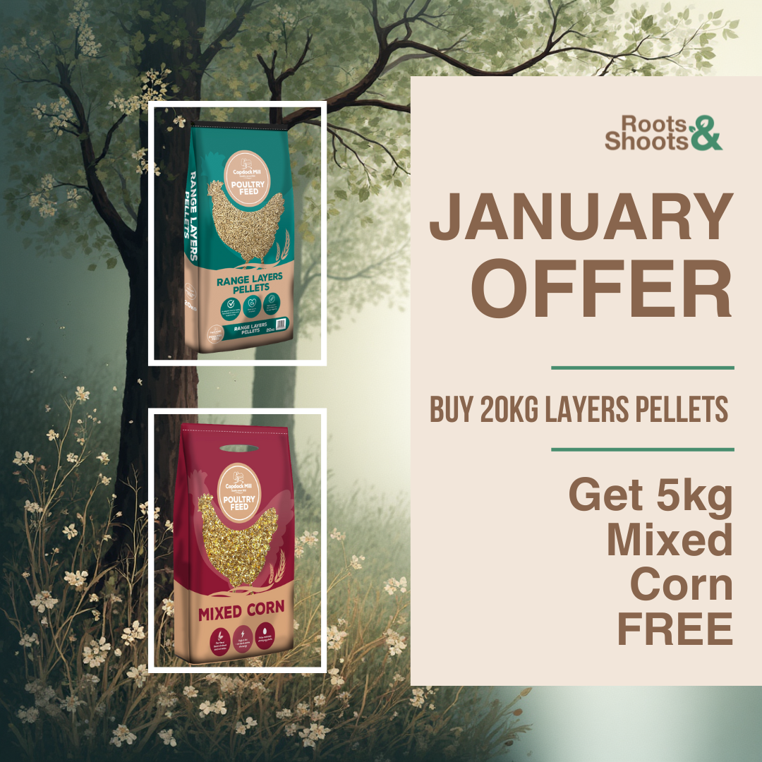 January Mixed Corn Offer.png