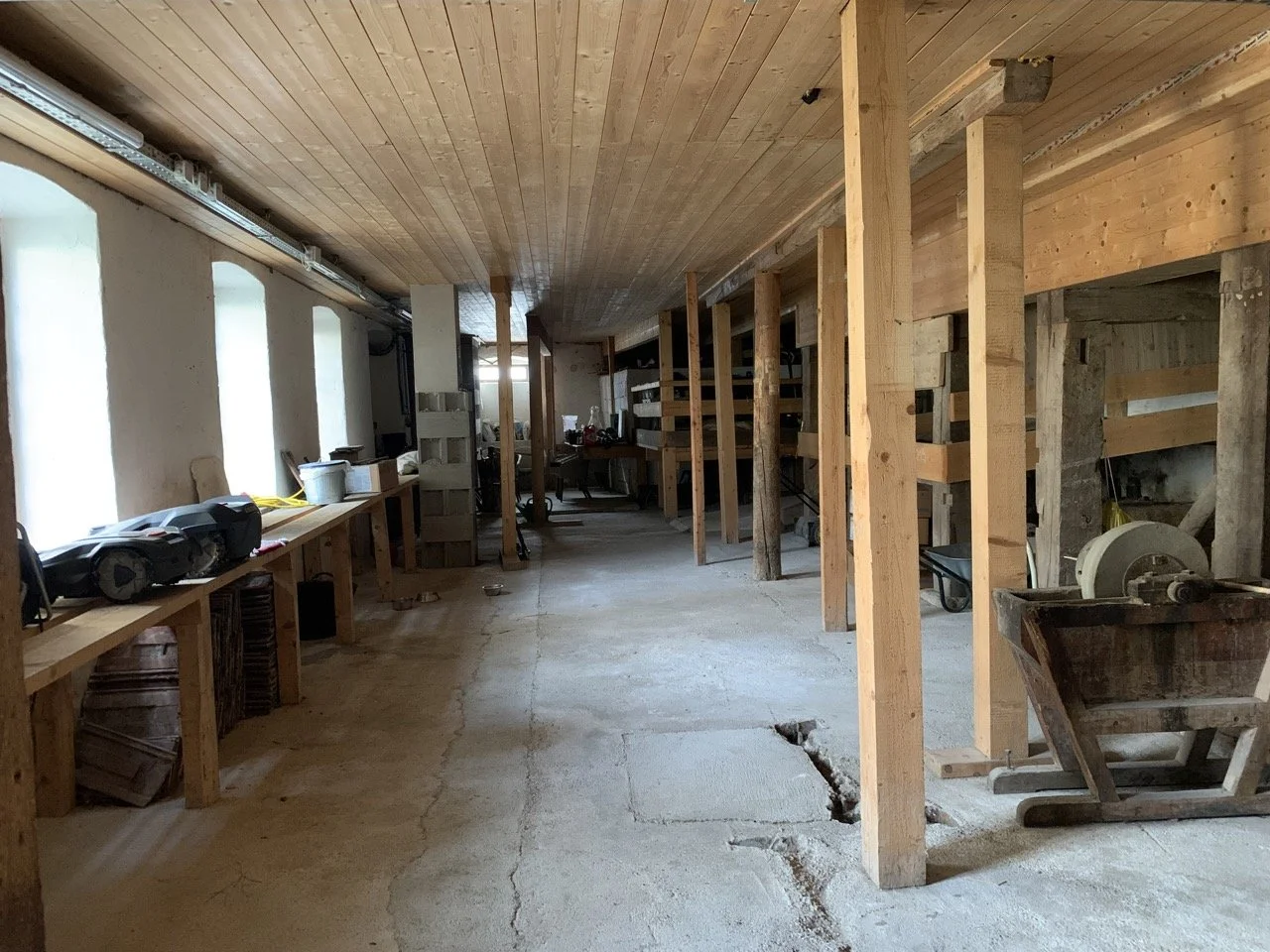 Groß (IMG_0004).jpeg