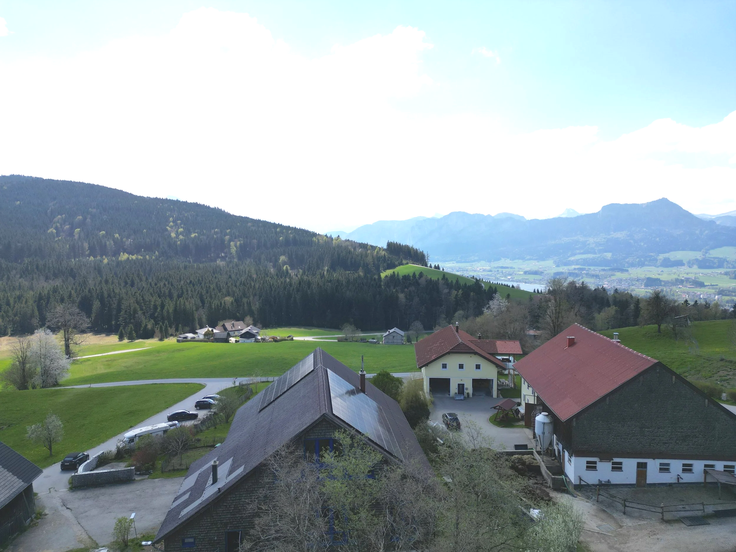DJI_0860.png