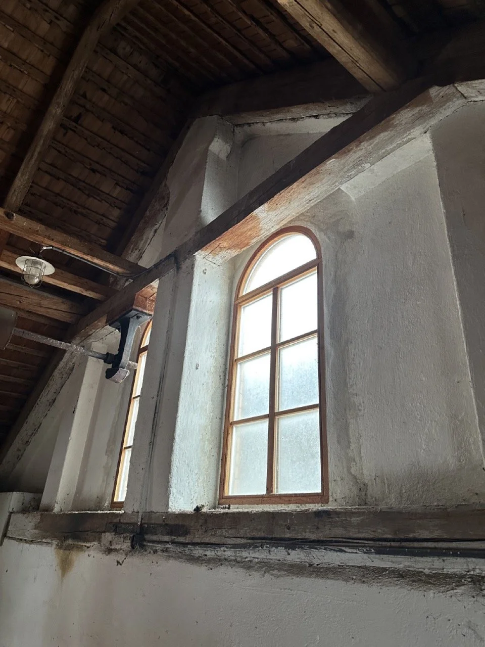 Groß (IMG_0357).jpeg