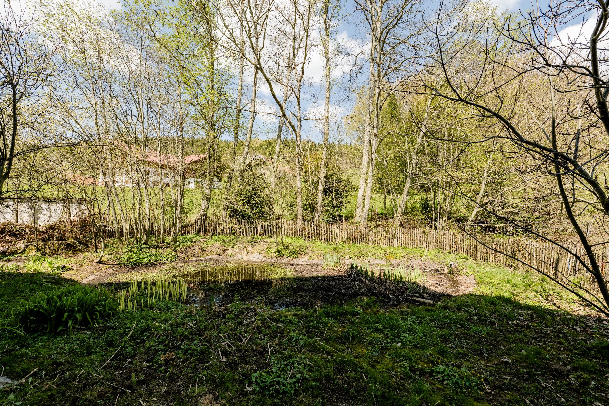DSC_0765.jpg