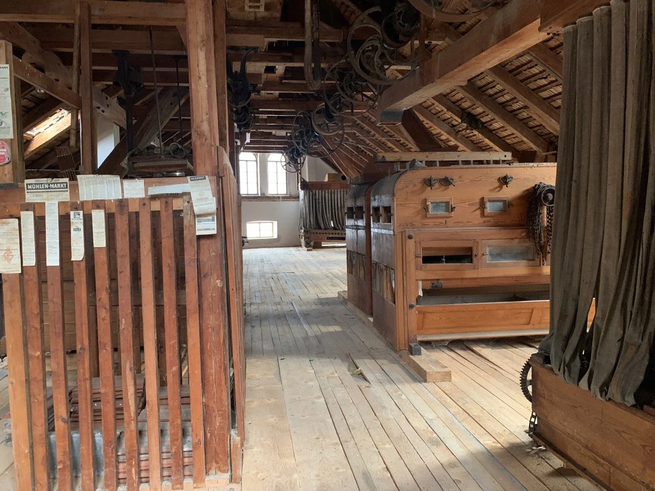 Groß (IMG_0110).jpeg