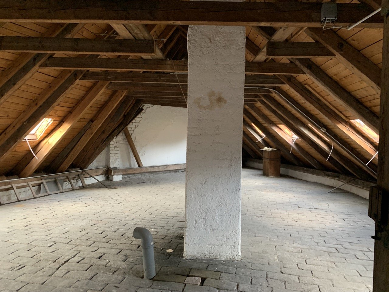 Groß (IMG_0089).jpeg