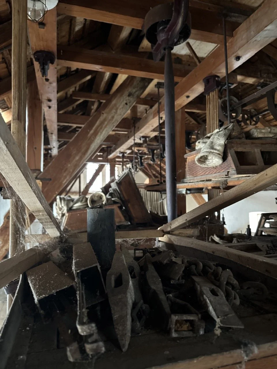 Groß (IMG_0348).jpeg