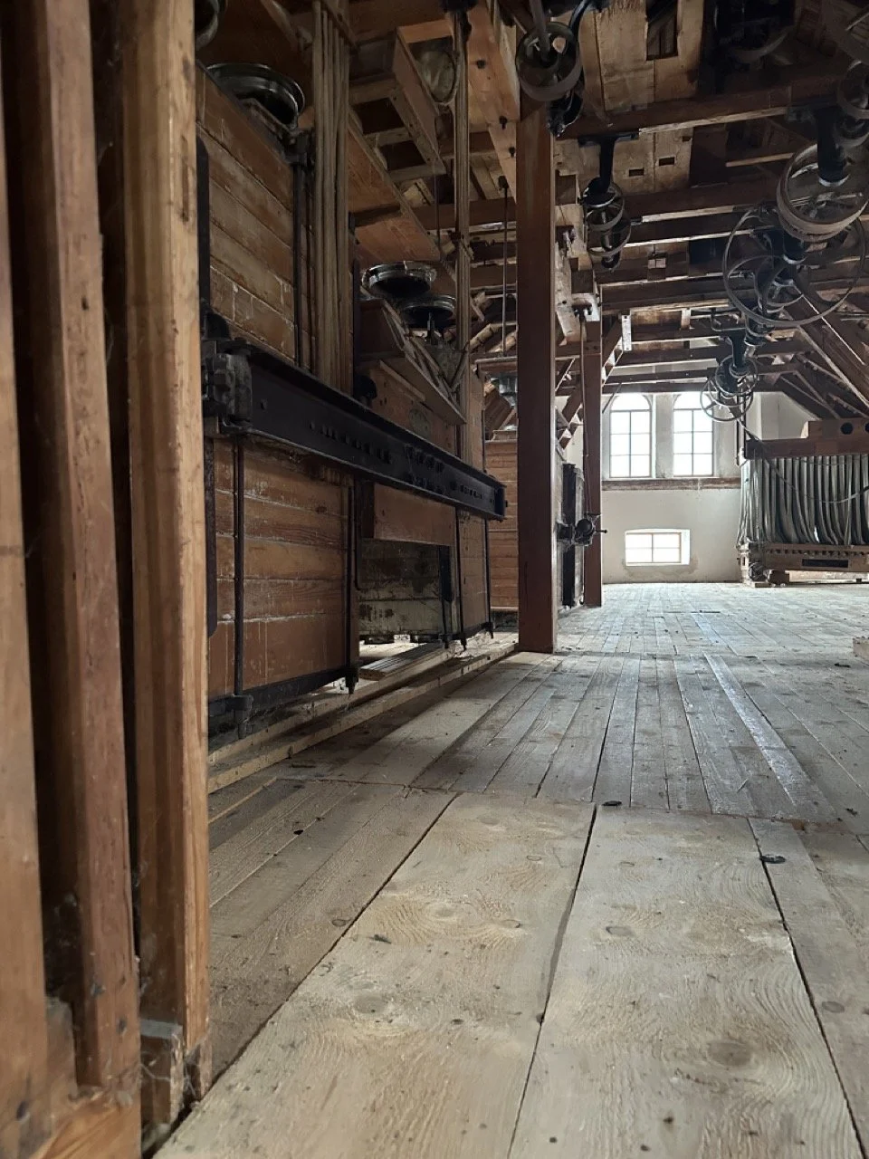 Groß (IMG_0354).jpeg