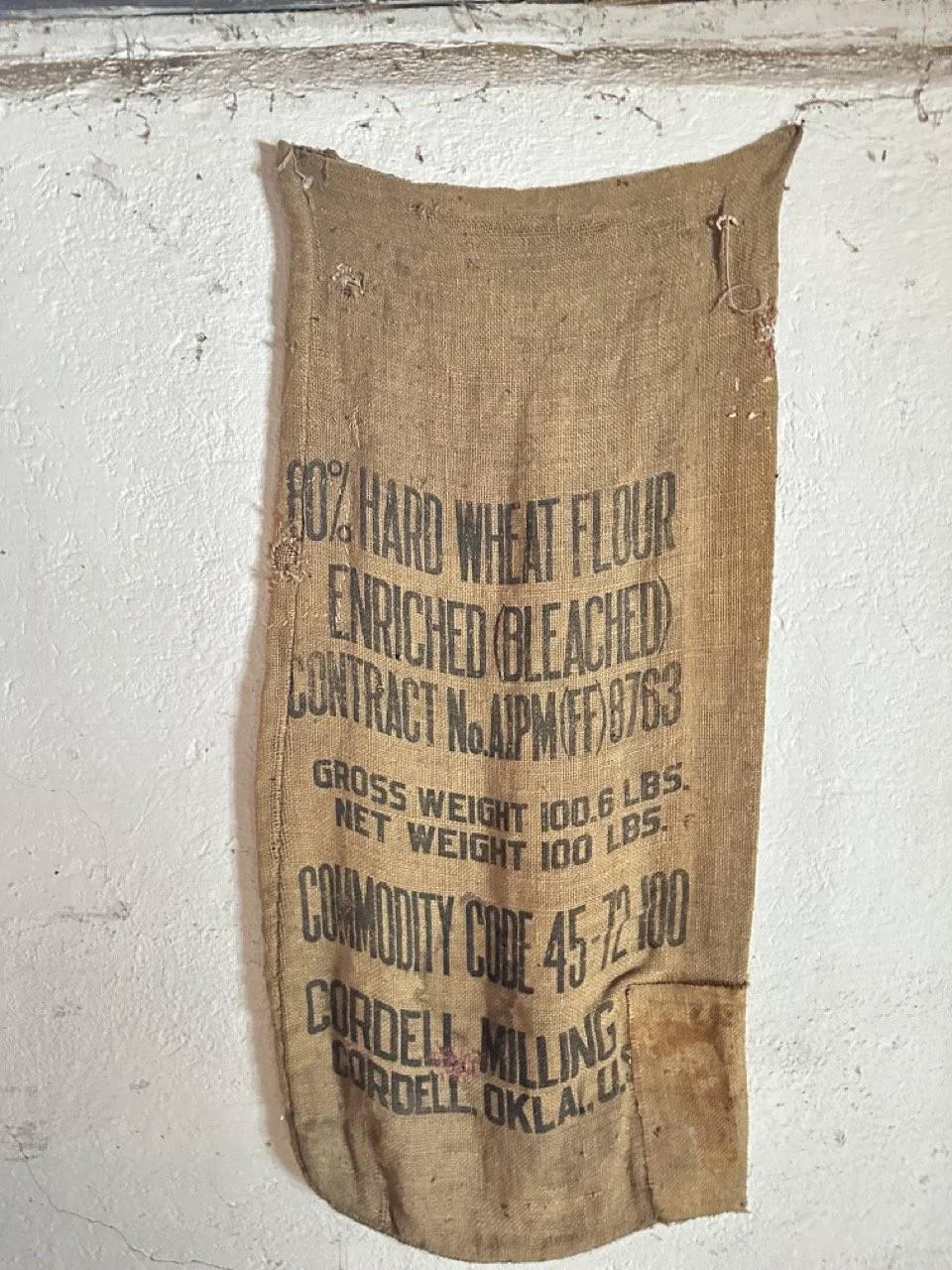 Groß (IMG_0356).jpeg