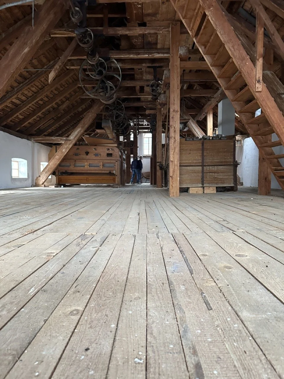 Groß (IMG_0352).jpeg