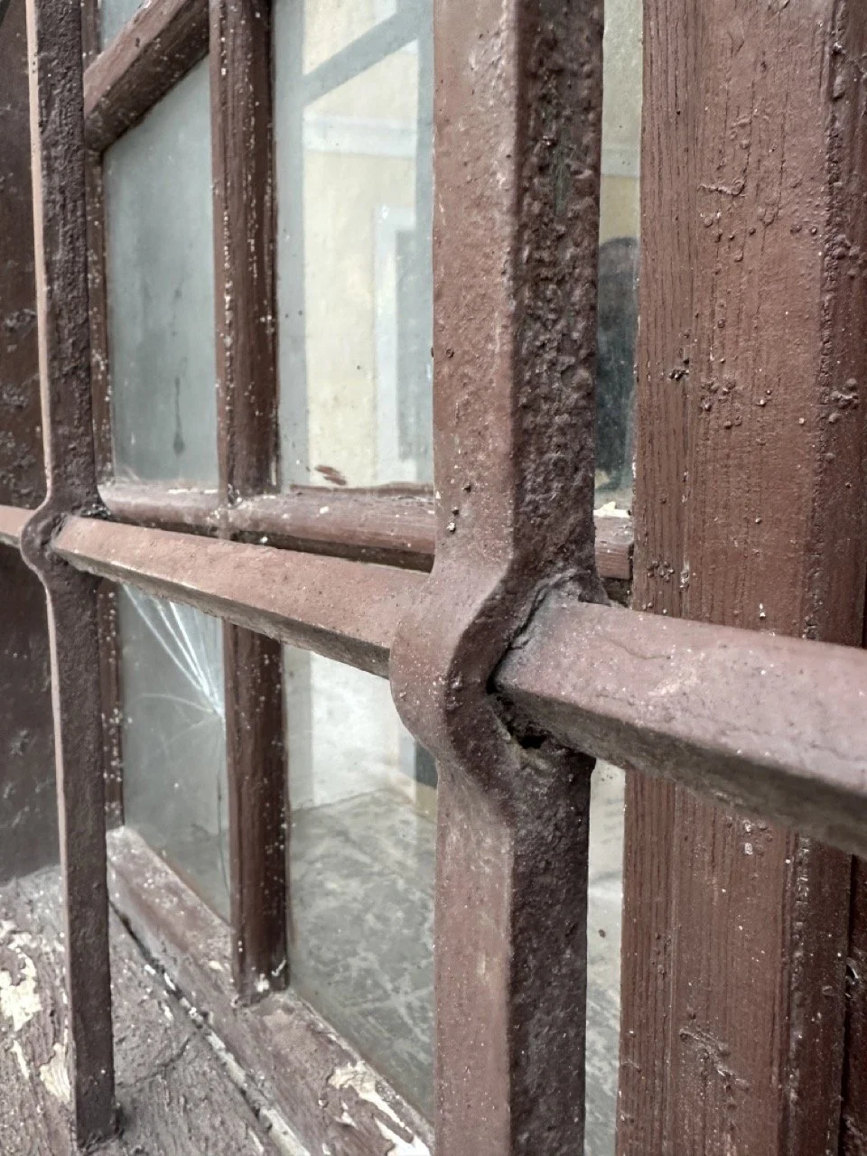 Groß (IMG_0380).jpeg