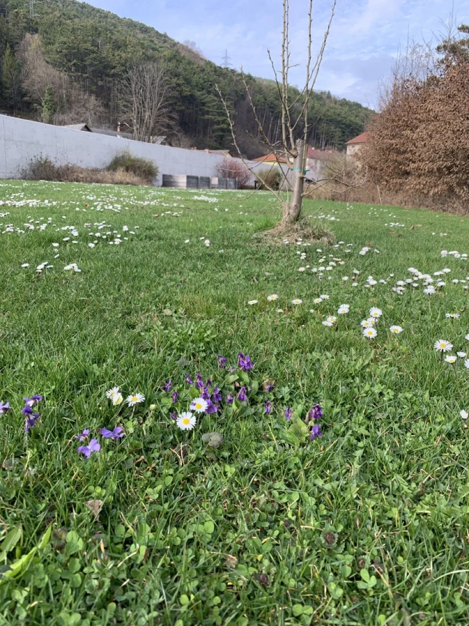 Groß (IMG_0043).jpeg