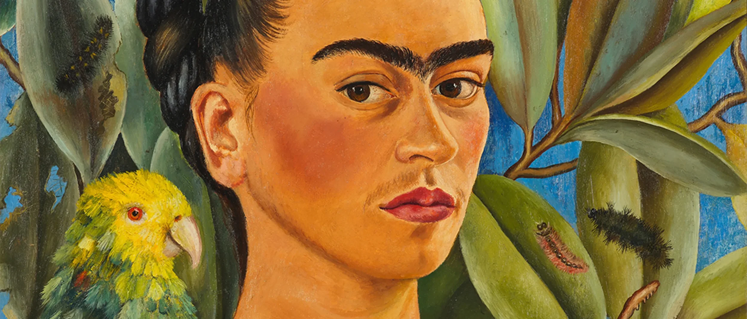 Mostra Frida Kahlo -  Basilea / Fondation Beyeler