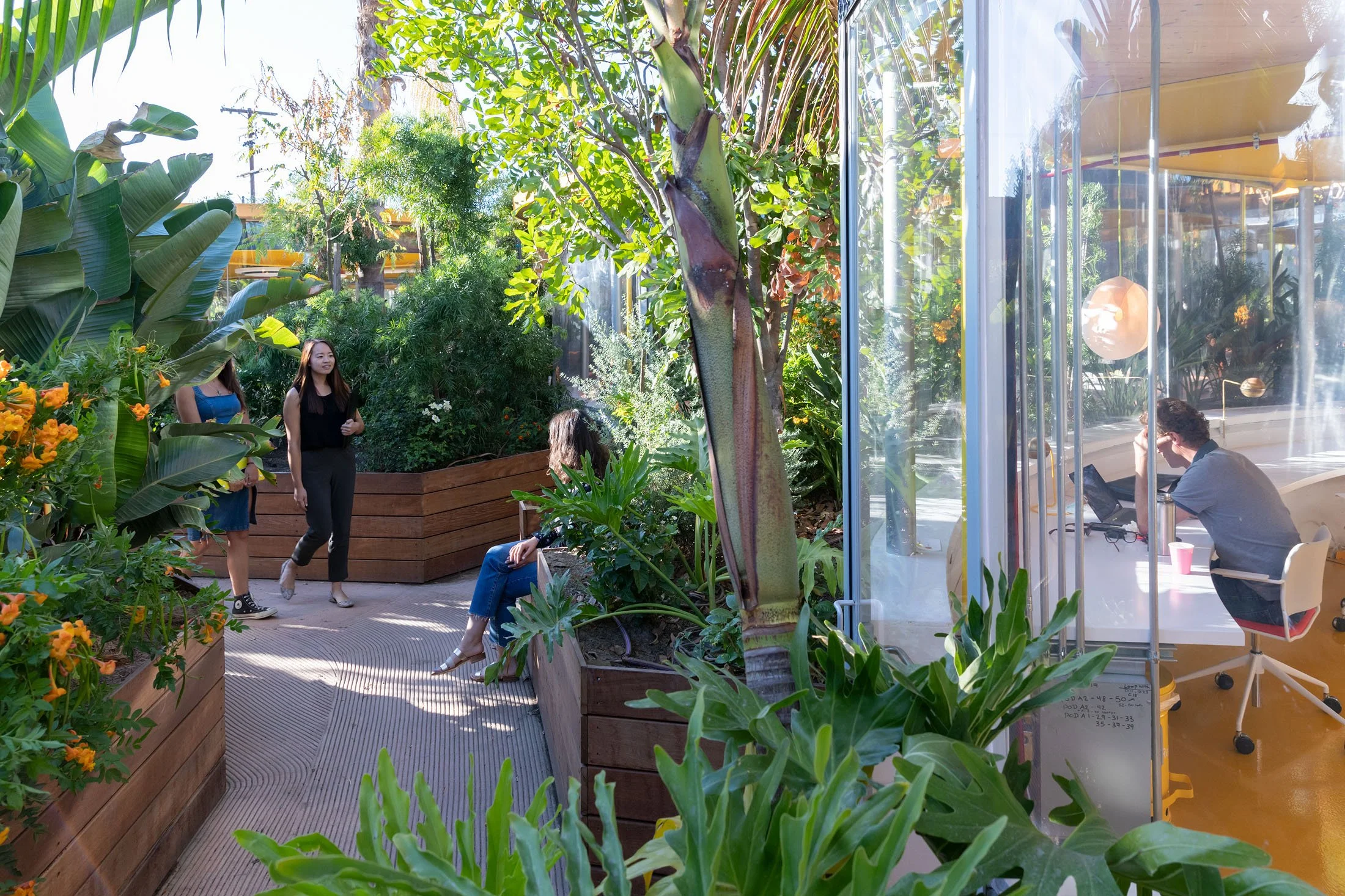 The Preserve (Second Home Hollywood).
Location: Los Angeles, California USA.
Year: 2019.
Role: Architect Partner in selgascano.
Photography: Iwan Baan.