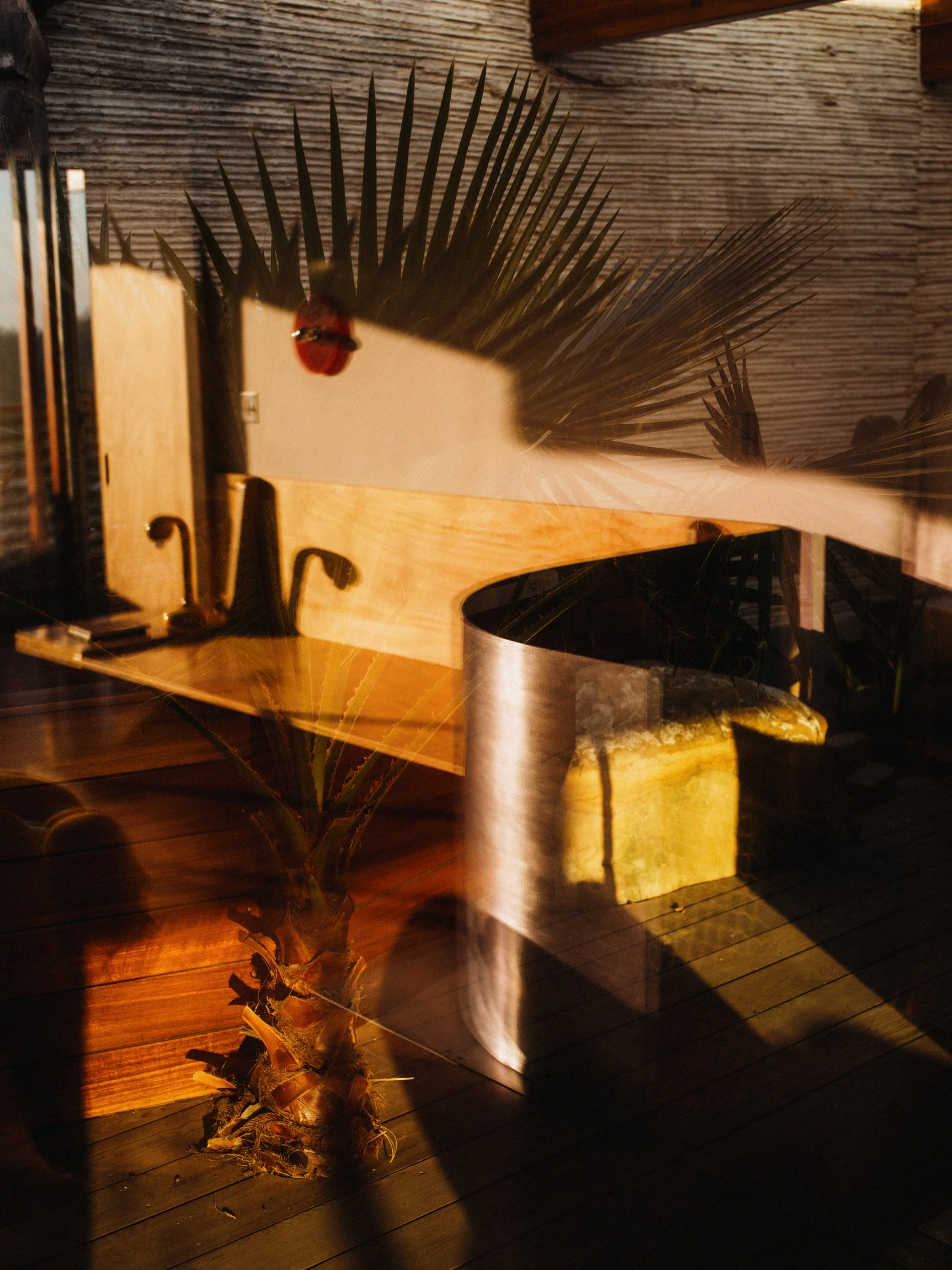 Cano House.
Location: Los Angeles, California USA.
Year: 2025.
Role: Owner-Builder /
Architect.
Photography: Max Knight.