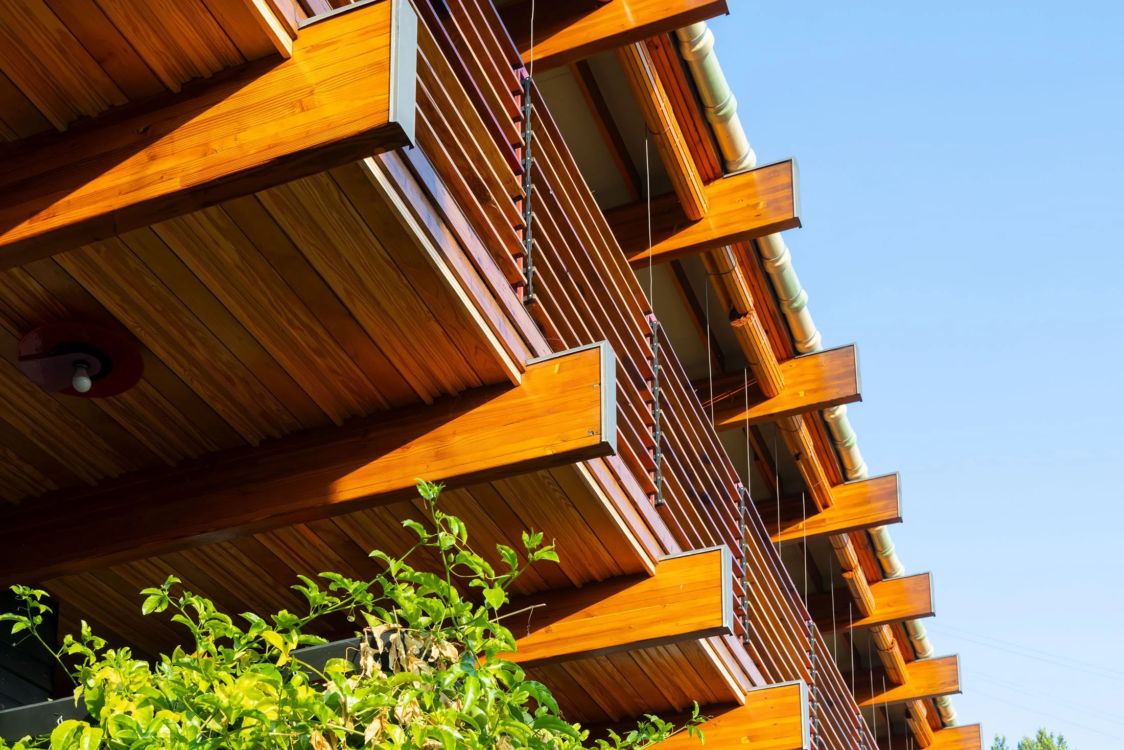 Cano House.
Location: Los Angeles, California USA.
Year: 2025.
Role: Owner-Builder /
Architect.
Photography: Iwan Baan.