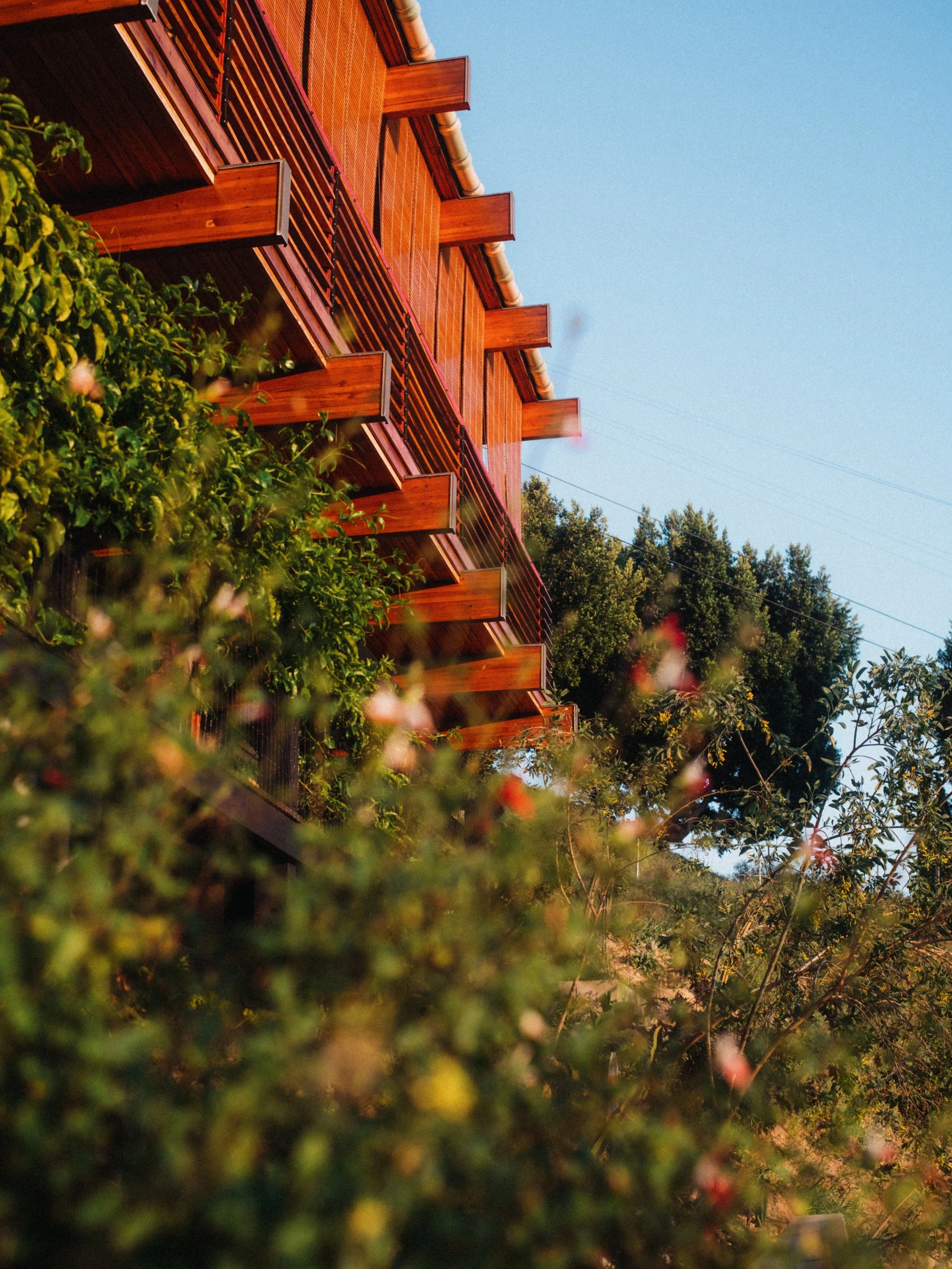 Cano House.
Location: Los Angeles, California USA.
Year: 2025.
Role: Owner-Builder /
Architect.
Photography: Max Knight.