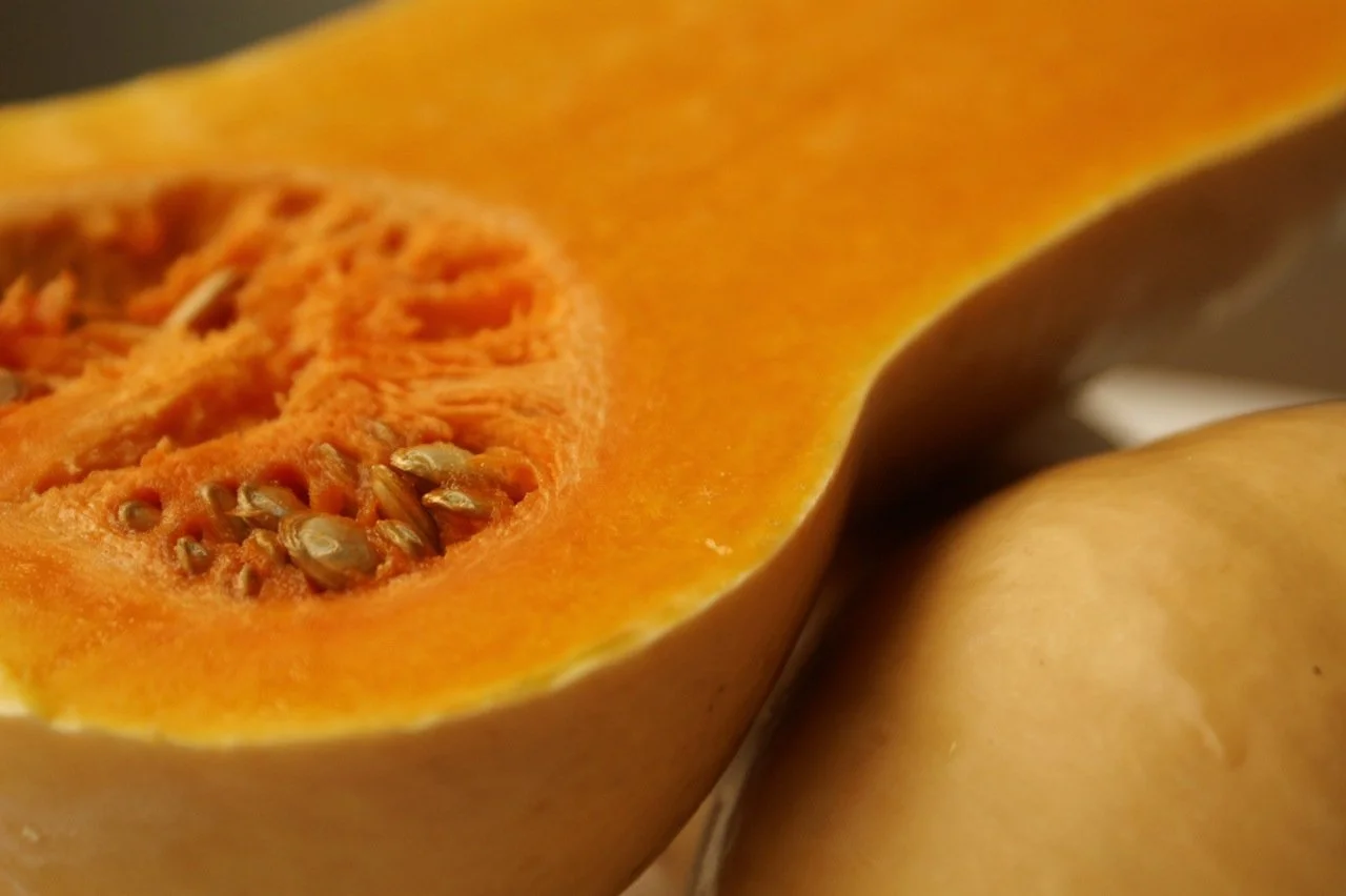 Nahaufnahme einer halben Butternusskürbis mit orange Fruchtfleisch und schwarzen Samenkernen