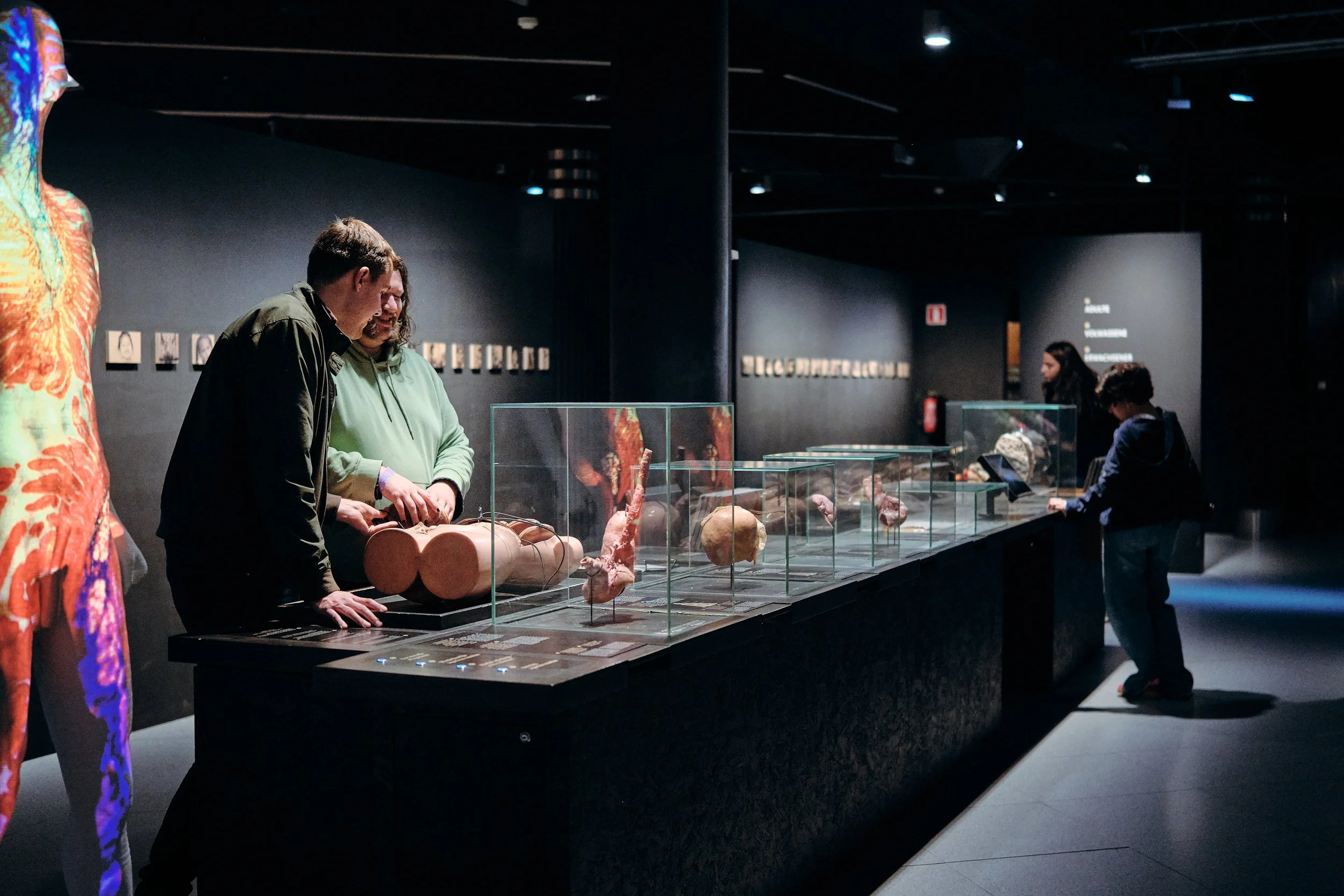 MNF25_Natural Science Museum_CopyrightSamGlazier_0849.jpg