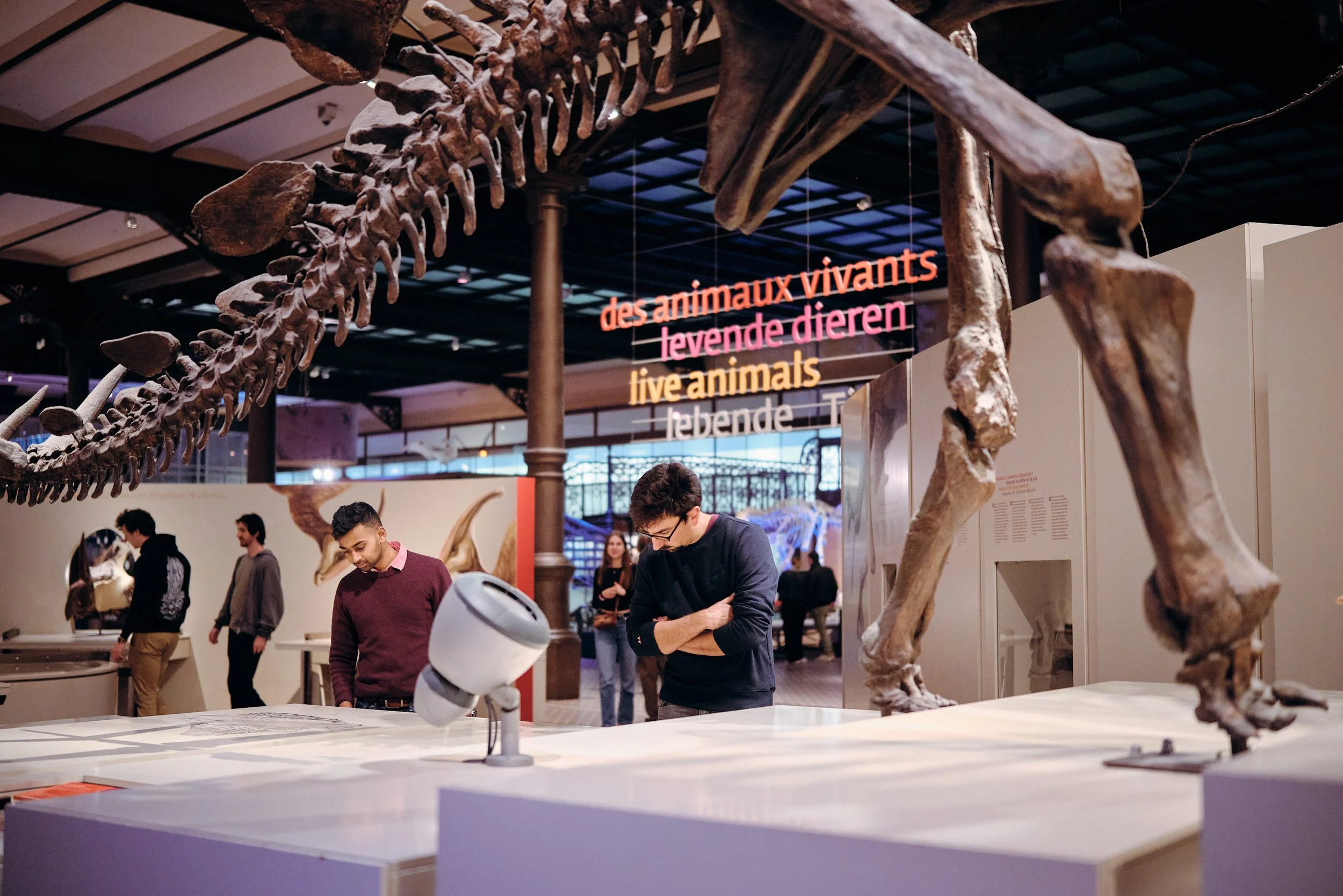 MNF25_Natural Science Museum_CopyrightSamGlazier_0445.jpg