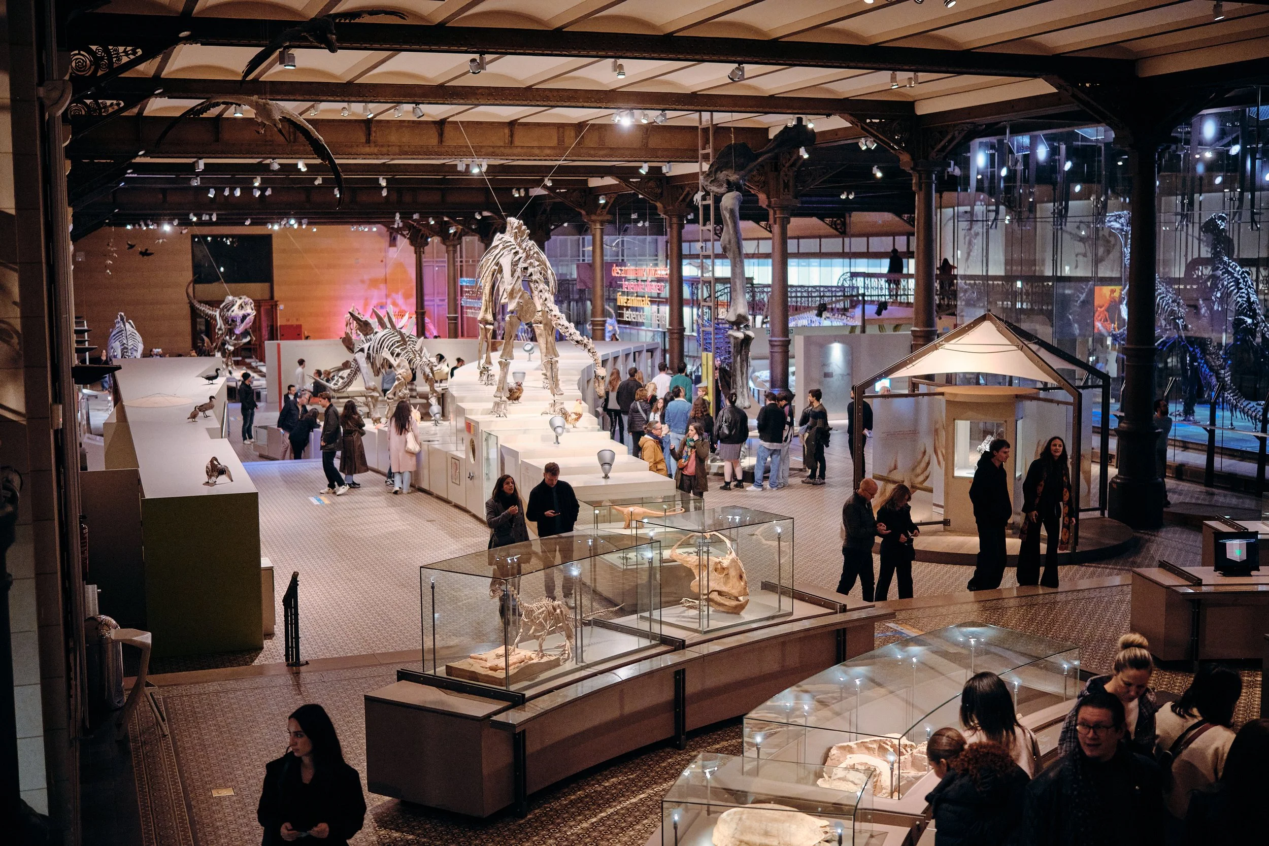 MNF25_Natural Science Museum_CopyrightSamGlazier_0876.jpg