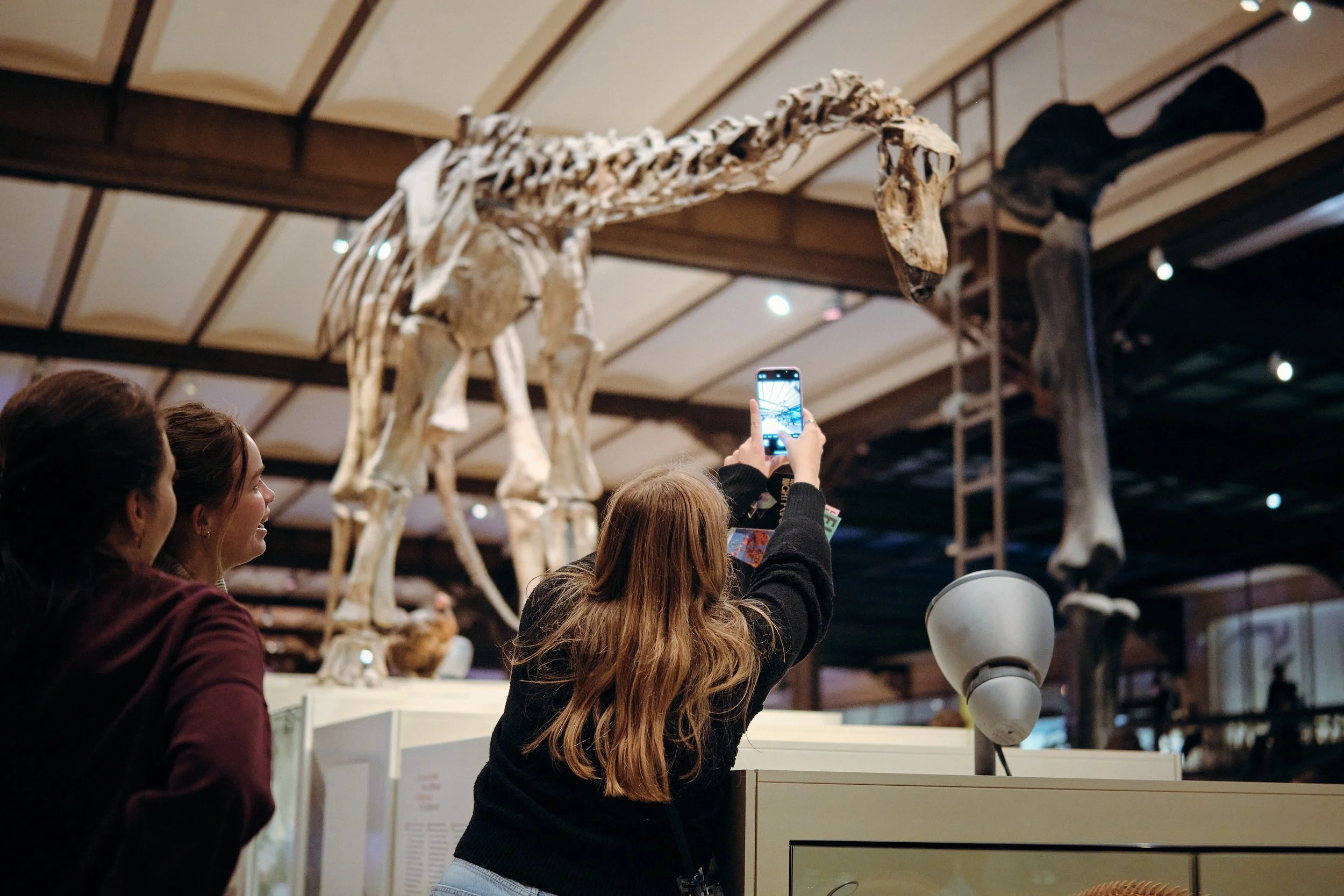 MNF25_Natural Science Museum_CopyrightSamGlazier_0341.jpg