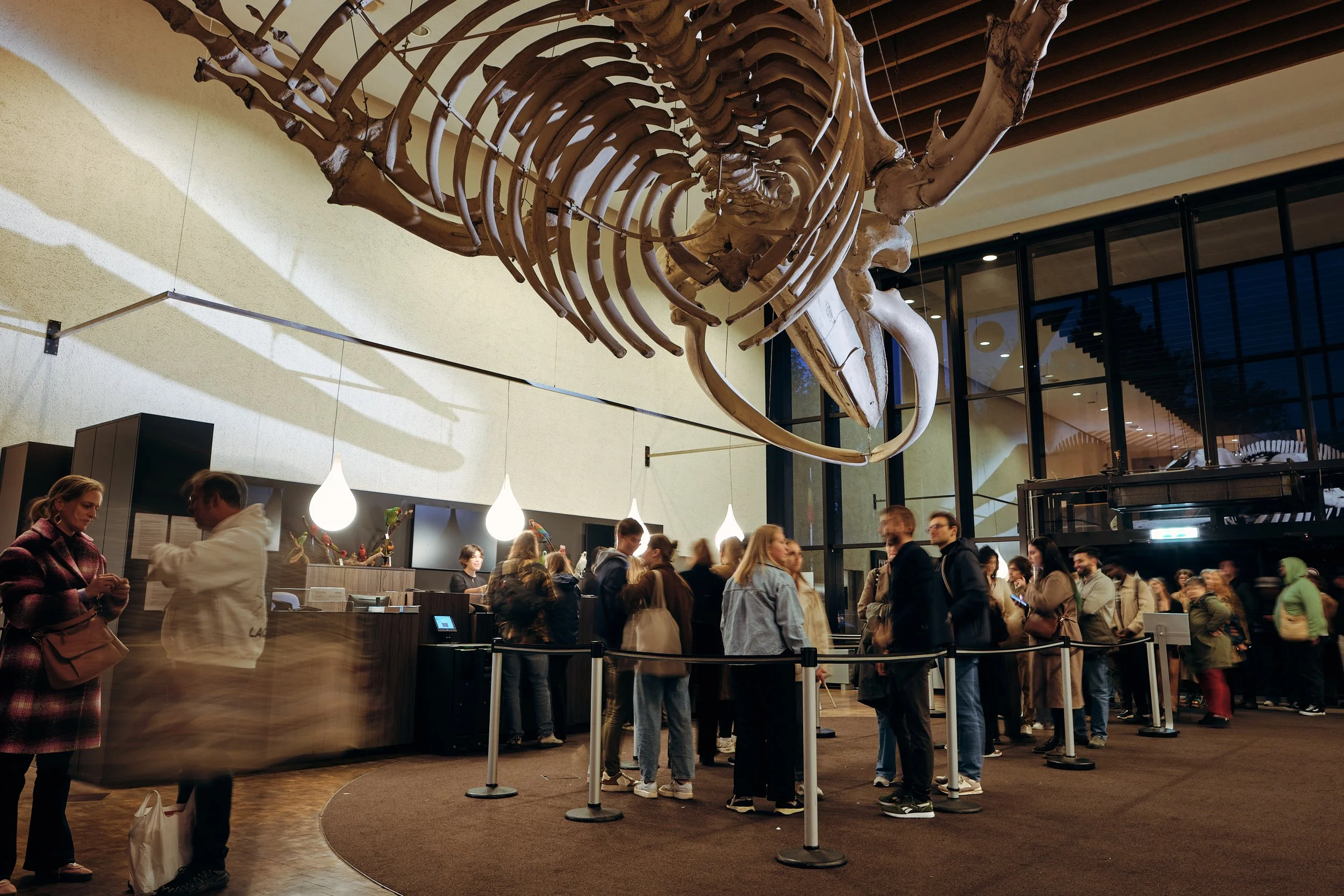 MNF25_Natural Science Museum_CopyrightSamGlazier_0042.jpg