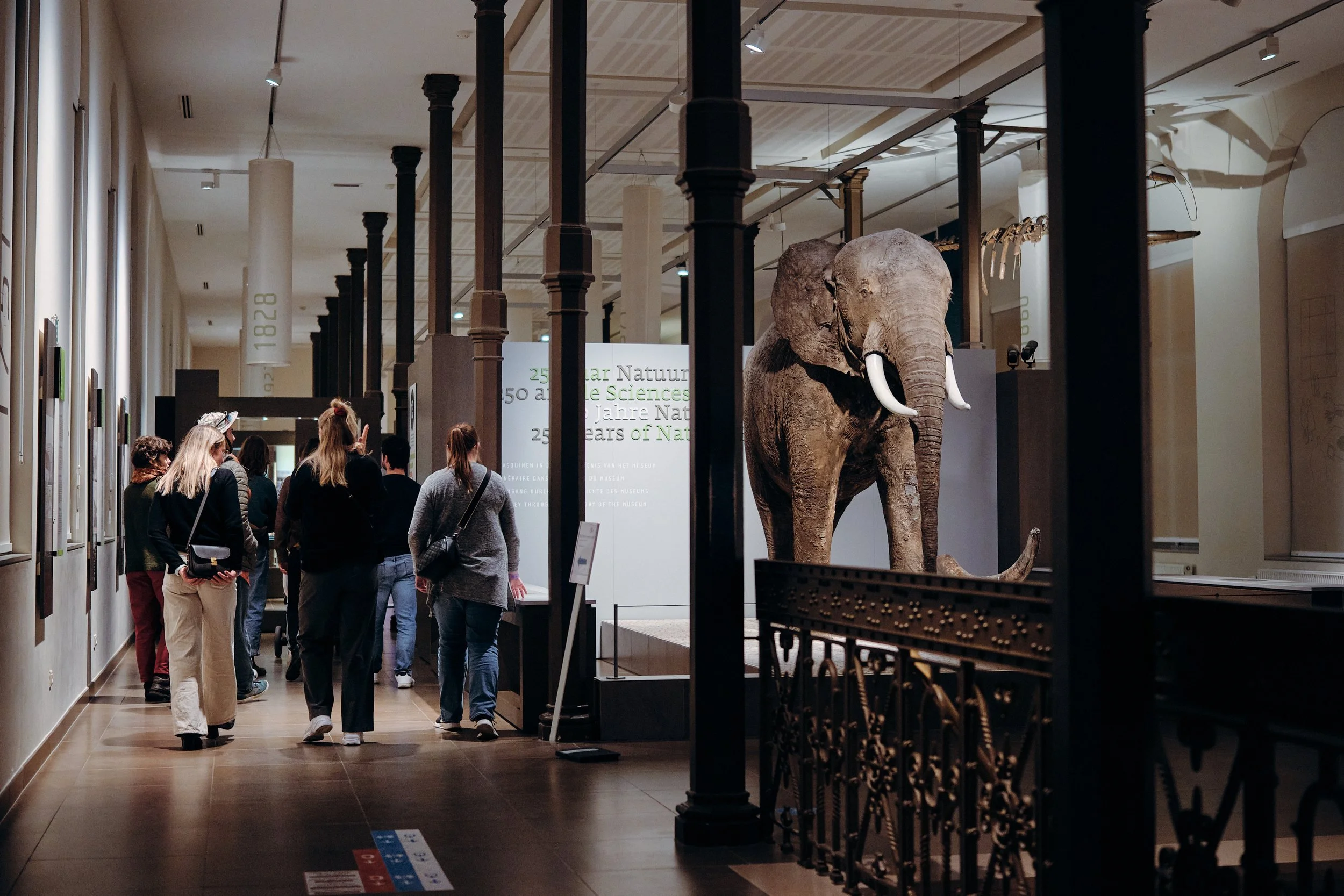 MNF25_Natural Science Museum_CopyrightSamGlazier_0320.jpg