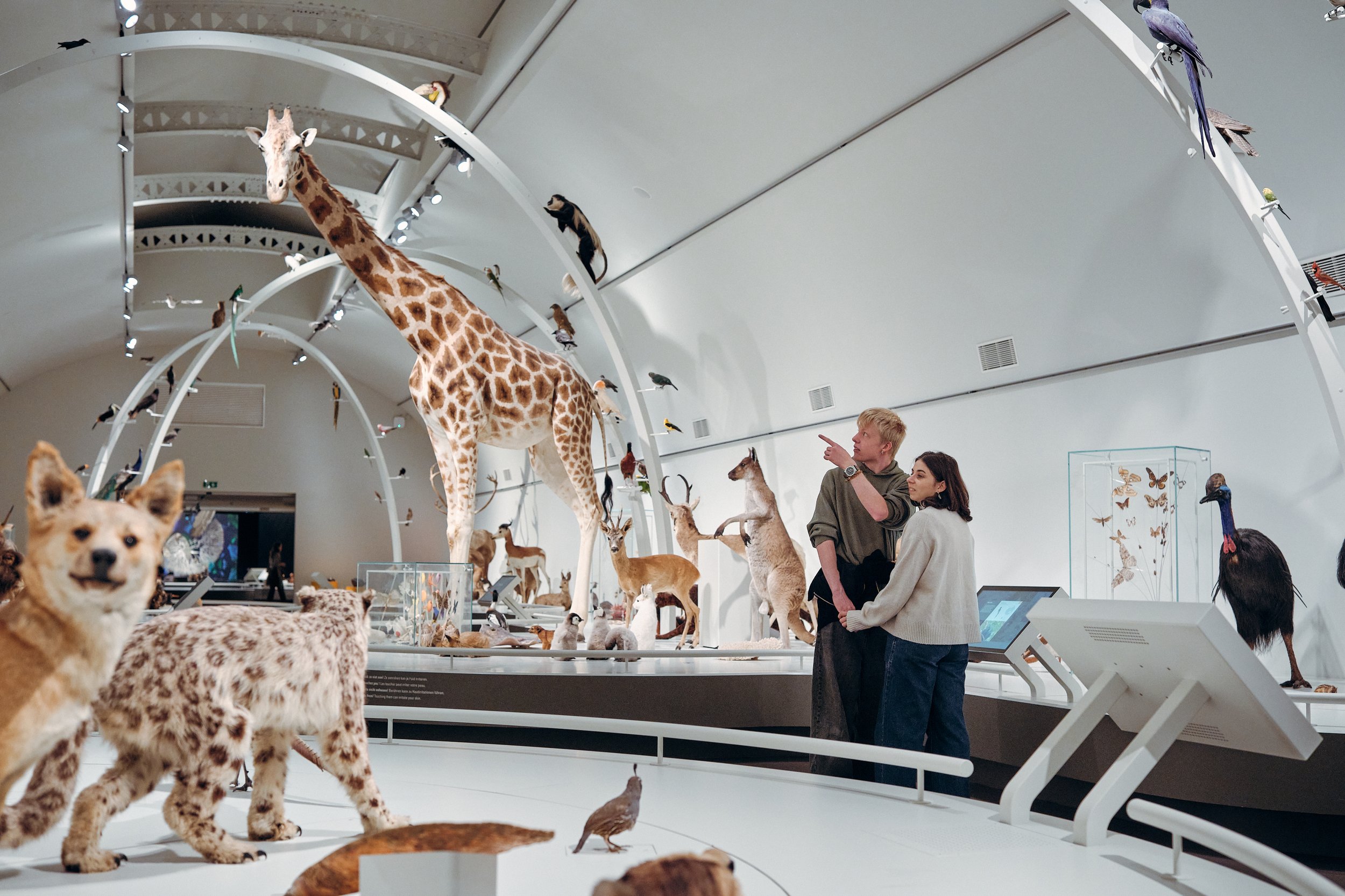 MNF25_Natural Science Museum_CopyrightSamGlazier_0820.jpg