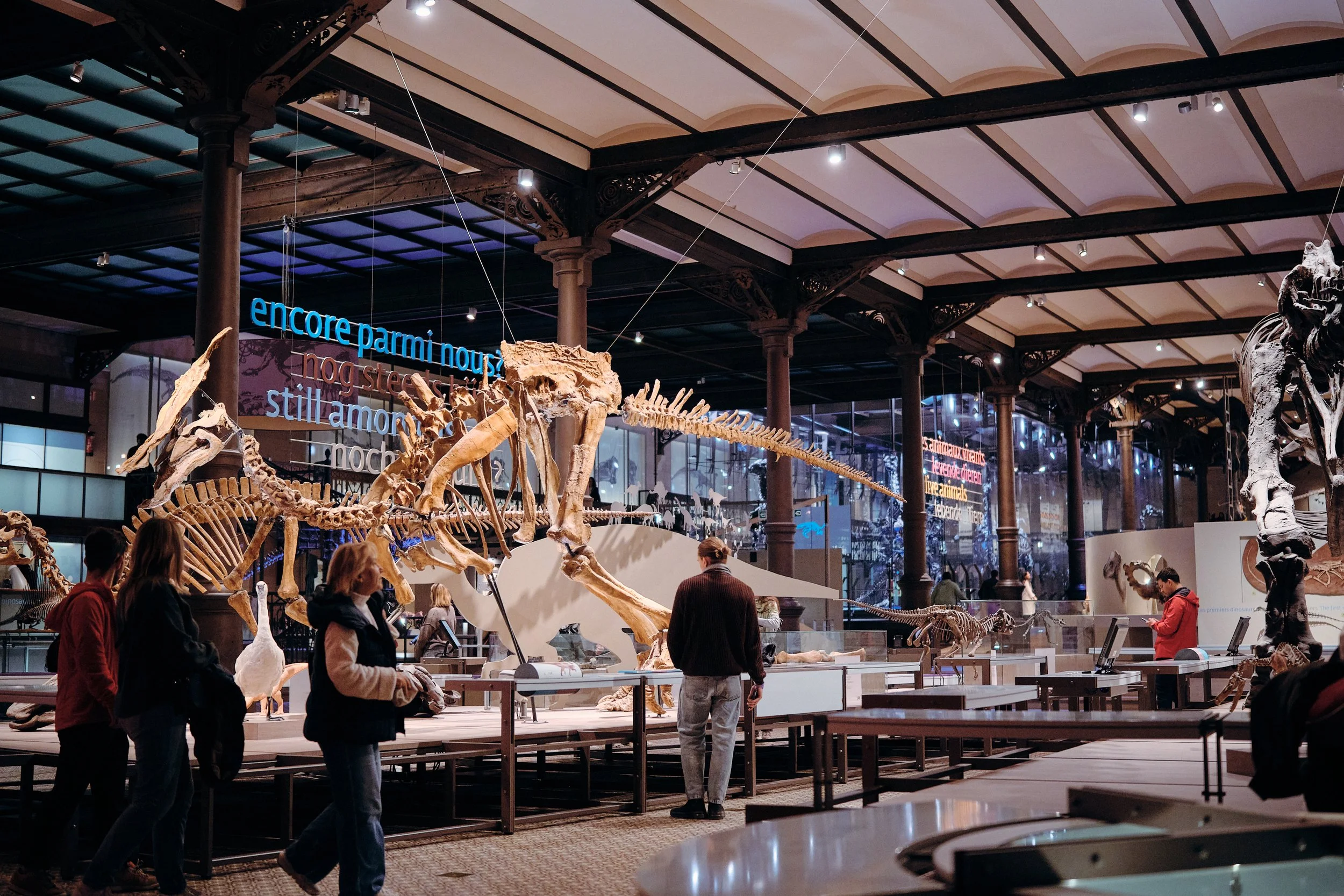 MNF25_Natural Science Museum_CopyrightSamGlazier_0511.jpg