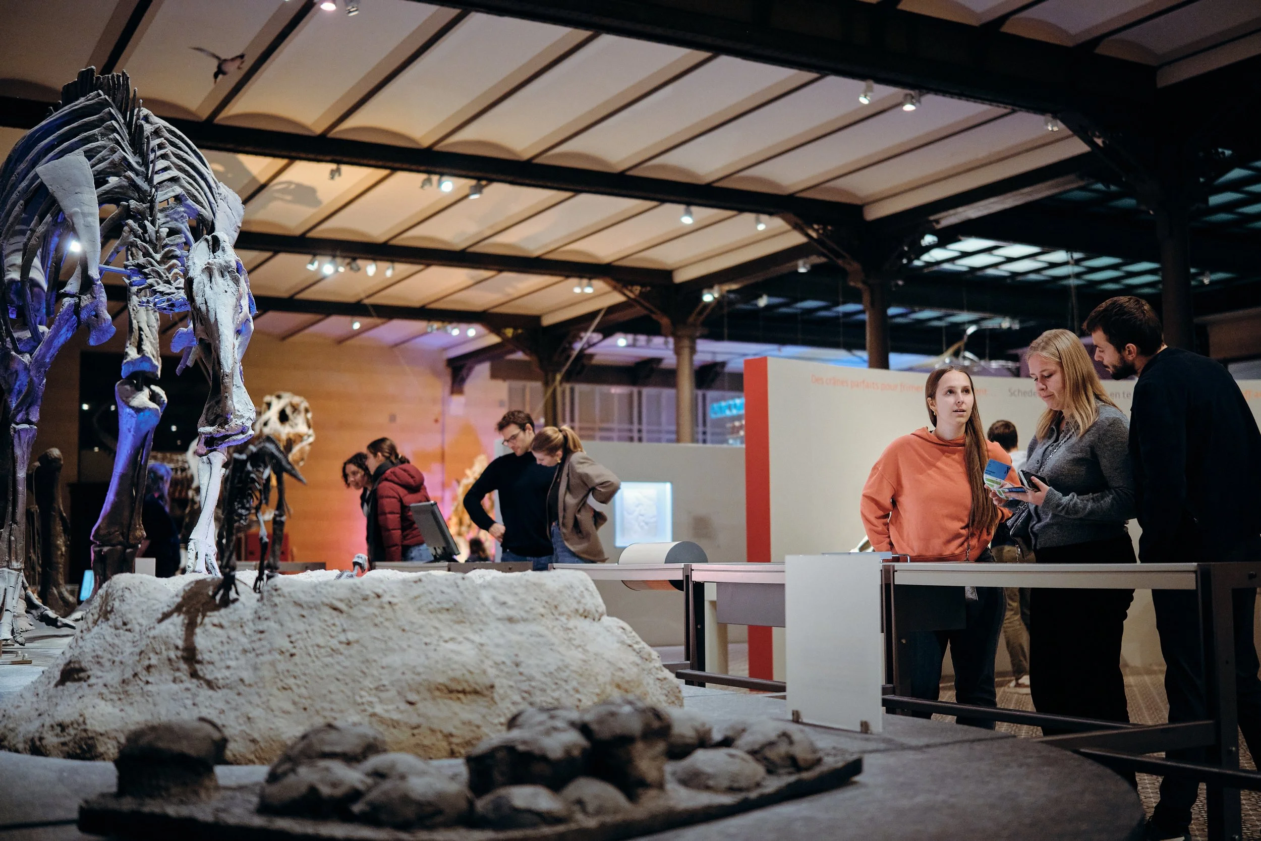 MNF25_Natural Science Museum_CopyrightSamGlazier_0355.jpg