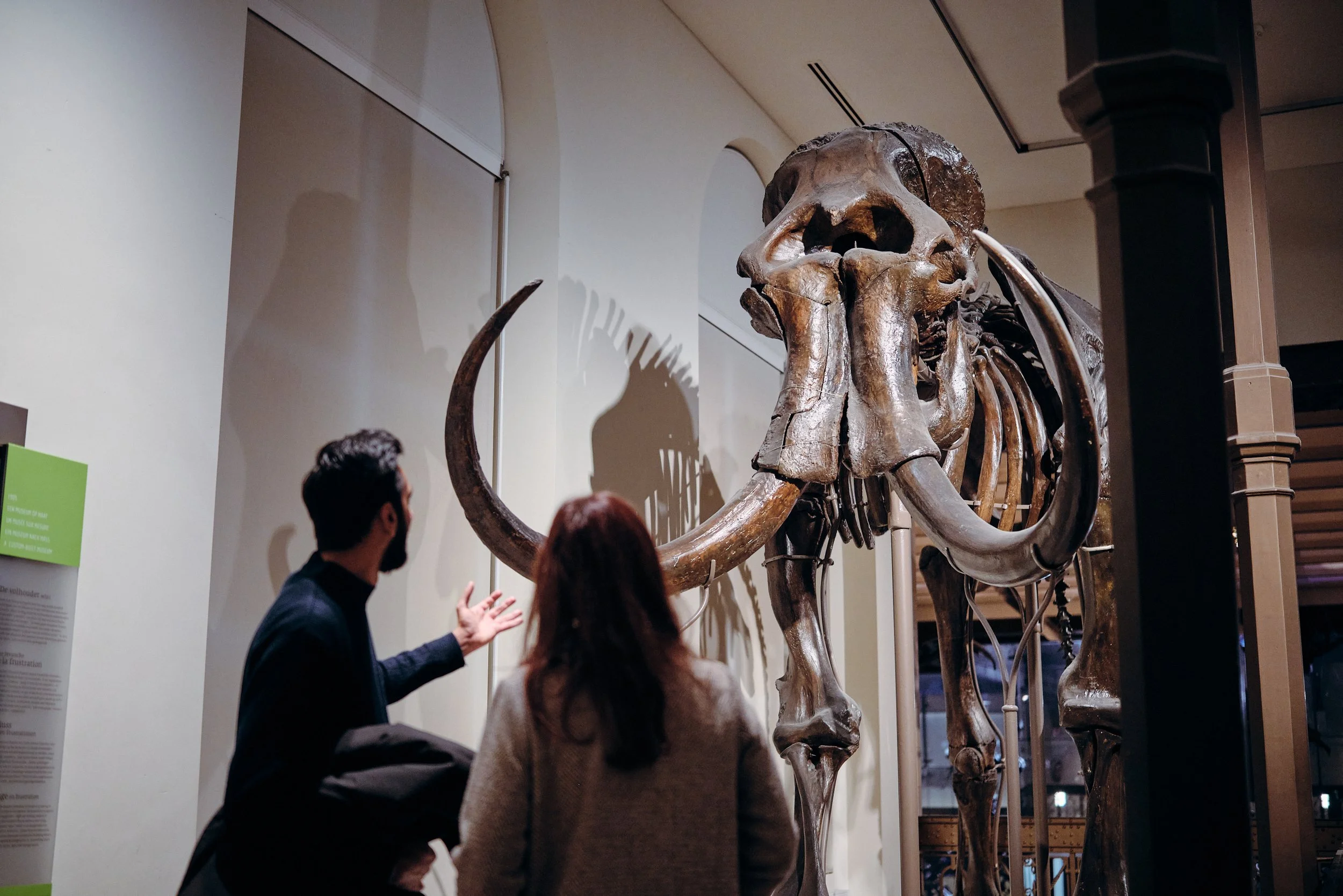 MNF25_Natural Science Museum_CopyrightSamGlazier_0467.jpg