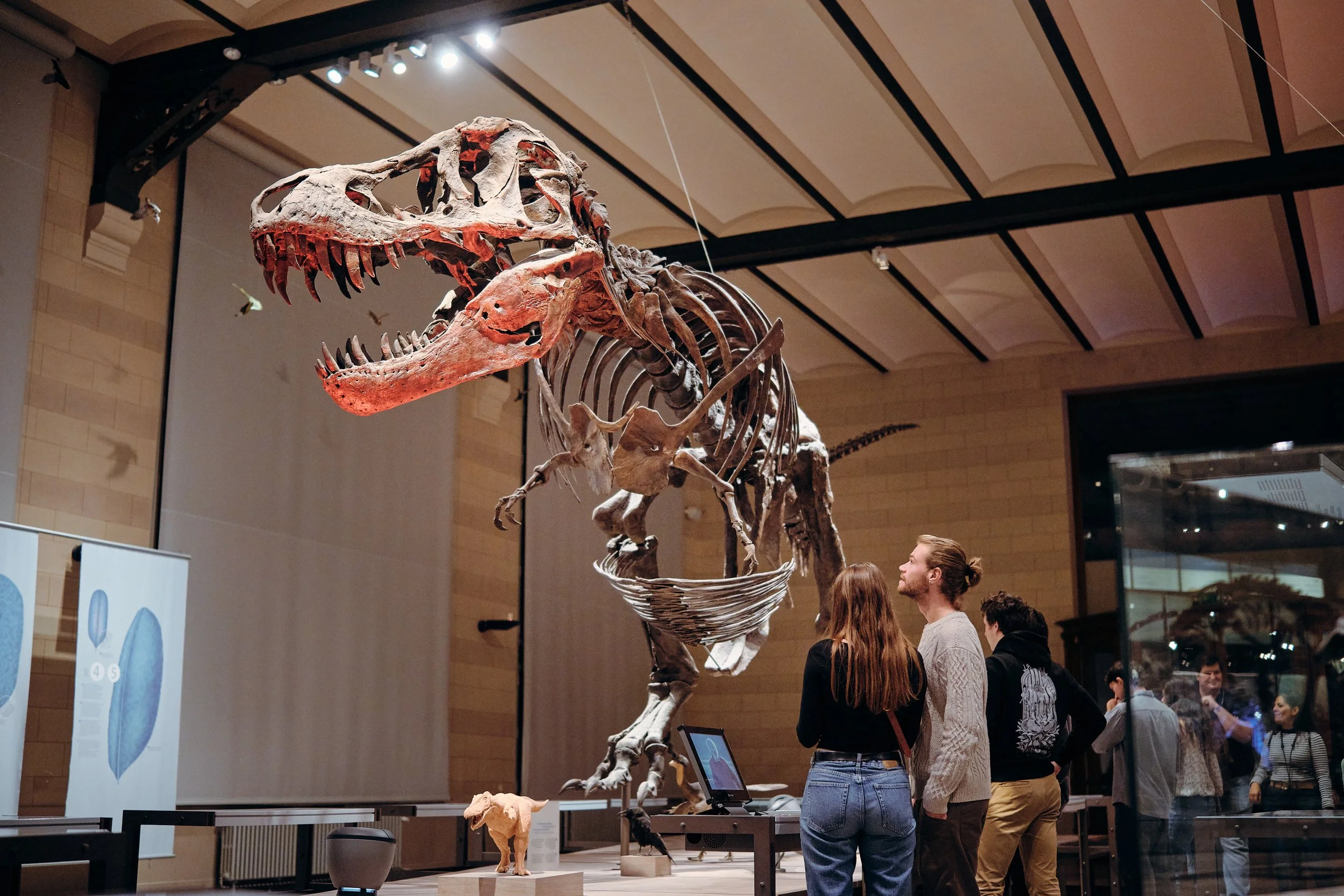 MNF25_Natural Science Museum_CopyrightSamGlazier_0439.jpg