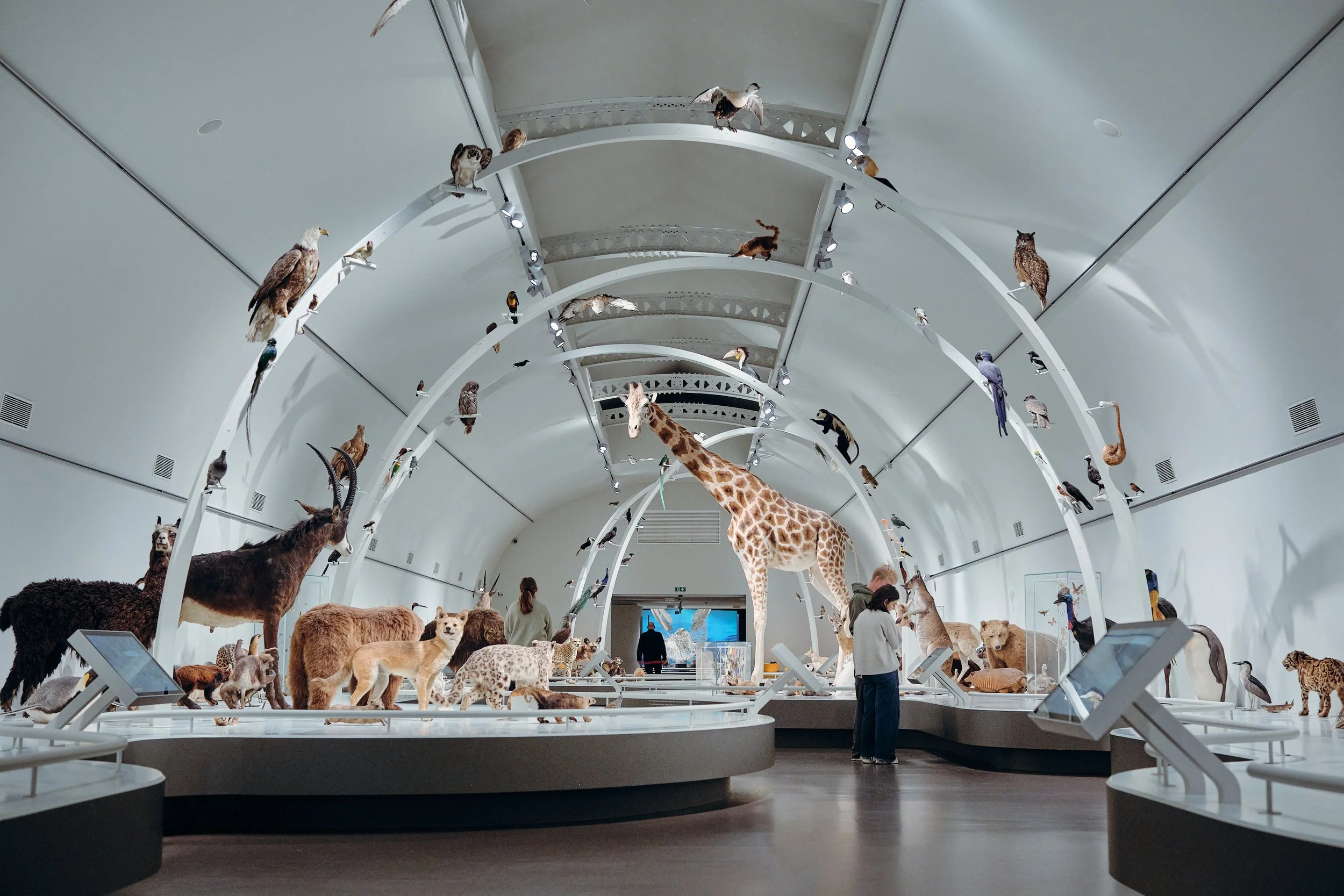 MNF25_Natural Science Museum_CopyrightSamGlazier_0802.jpg