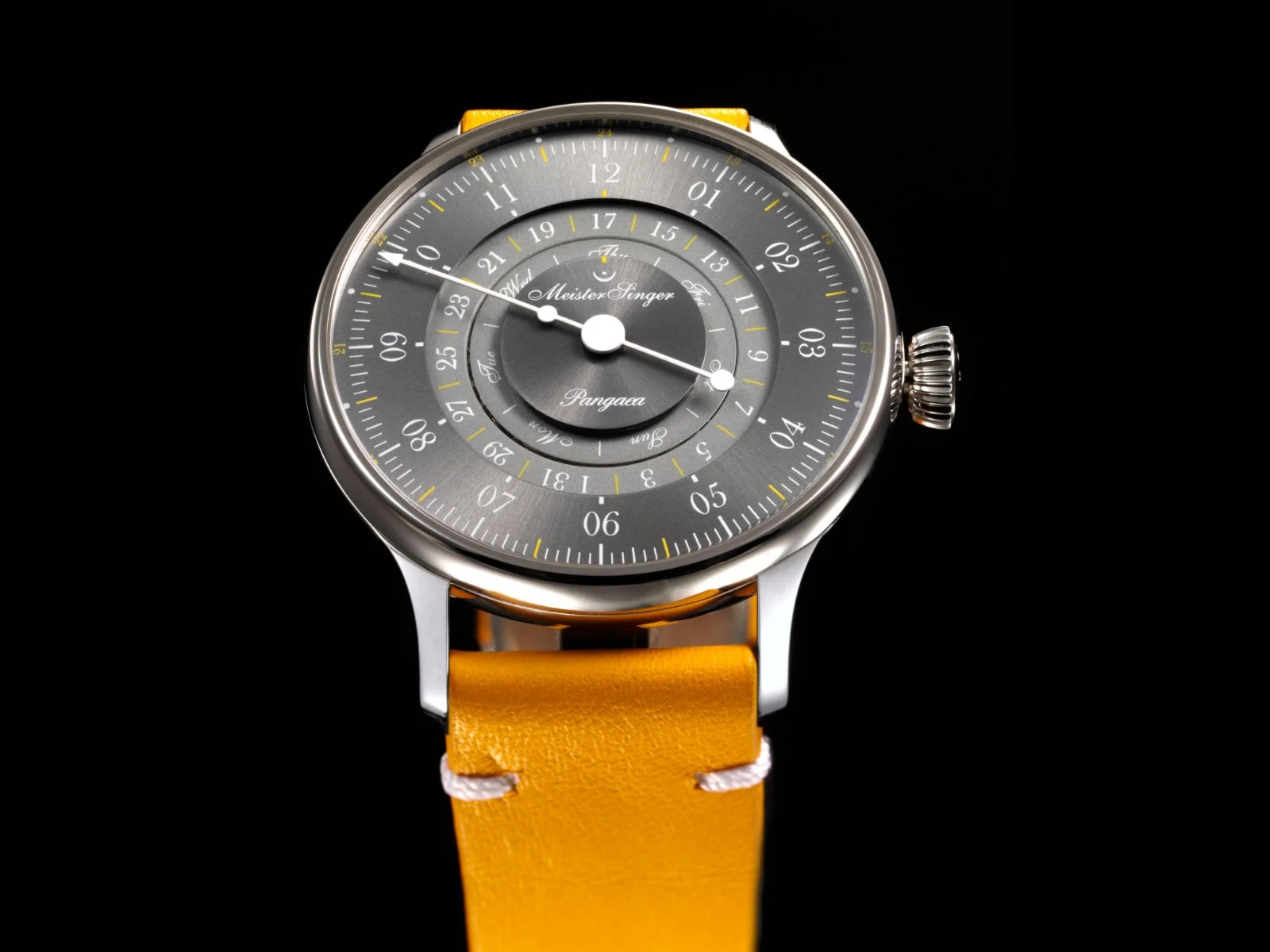 MeisterSinger_PangaeaDD_PDD365_Still03_Landcsape_low res.jpg