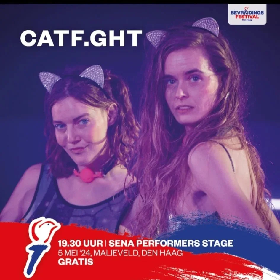 catfight4.jpg