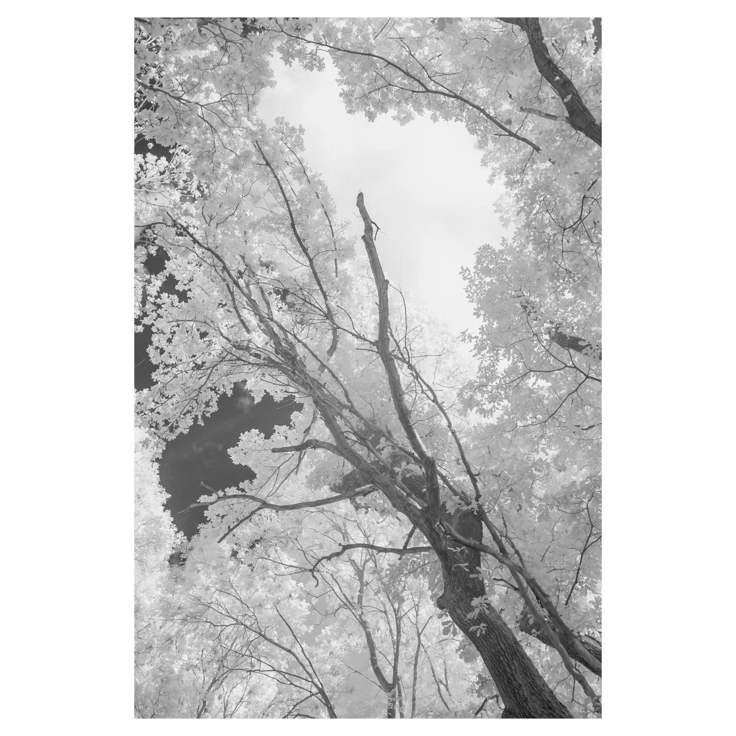 Looking up for a new project