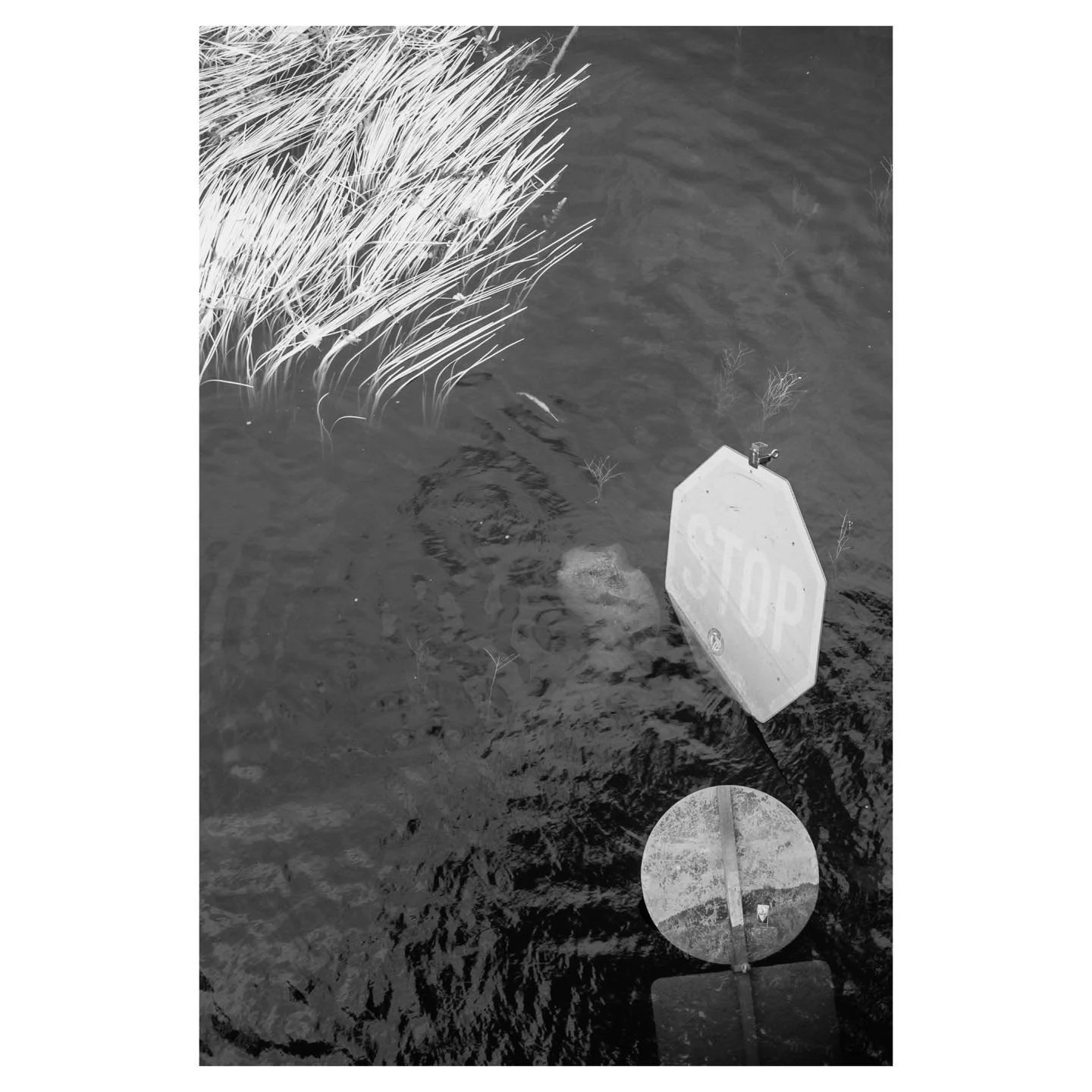 Signs in the water, 2025