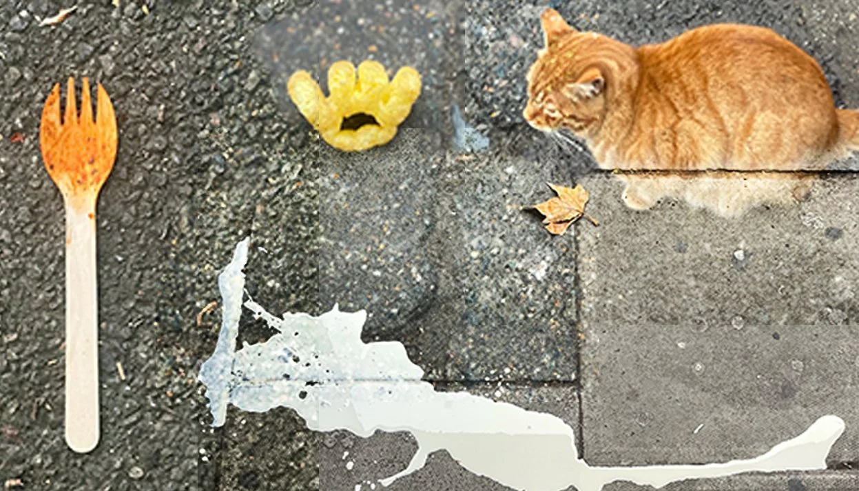 Research Note 12: Take the Photograph