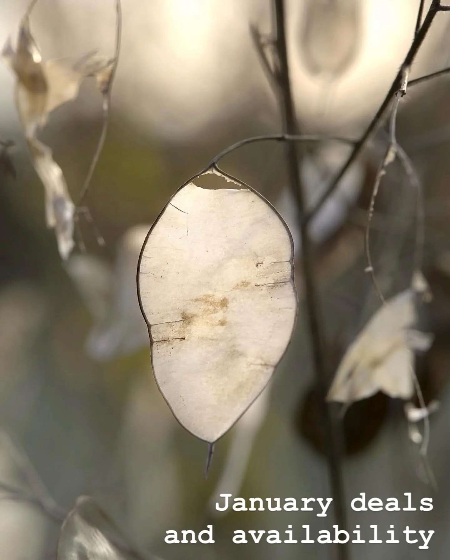 January deals 

January can feel heavy &mdash; dark mornings, tired bodies, busy minds.
So this month I&rsquo;m offering tailored treatments, designed around you and what your body needs most right now.

Whether you&rsquo;re holding stress, aches, em