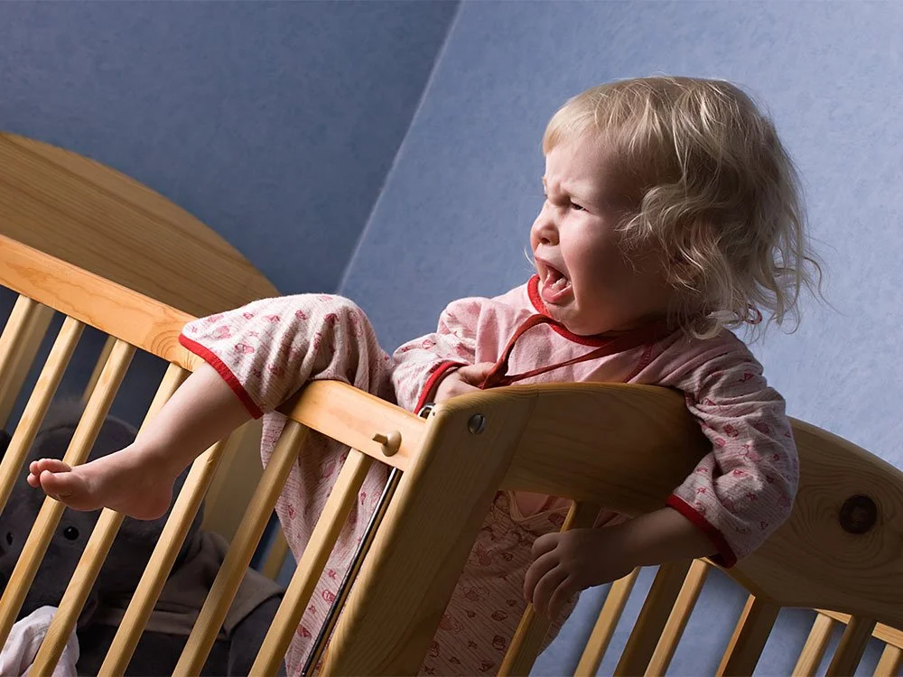 Semana 42 - Tareas y Programación