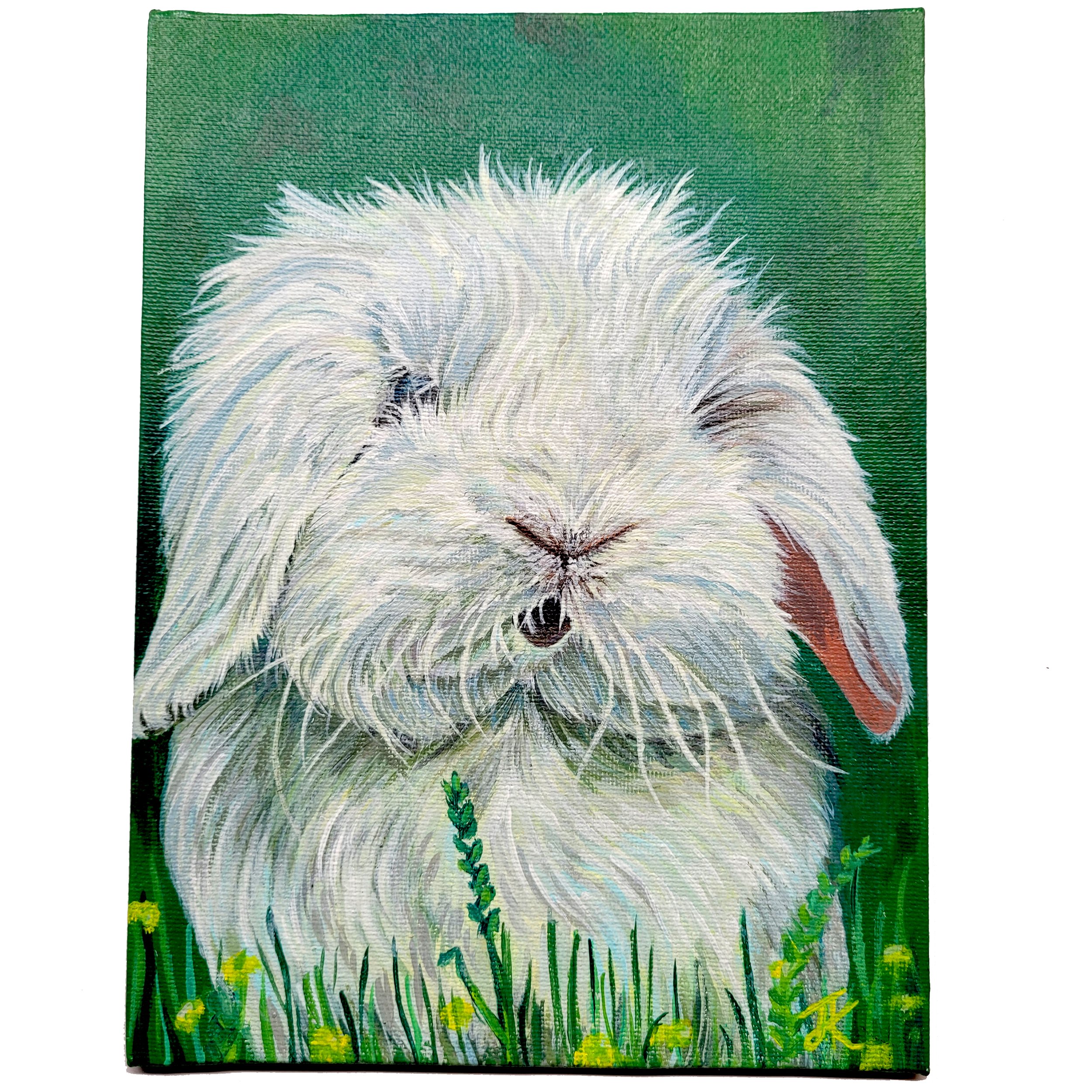 Sabine Rabbit.jpg
