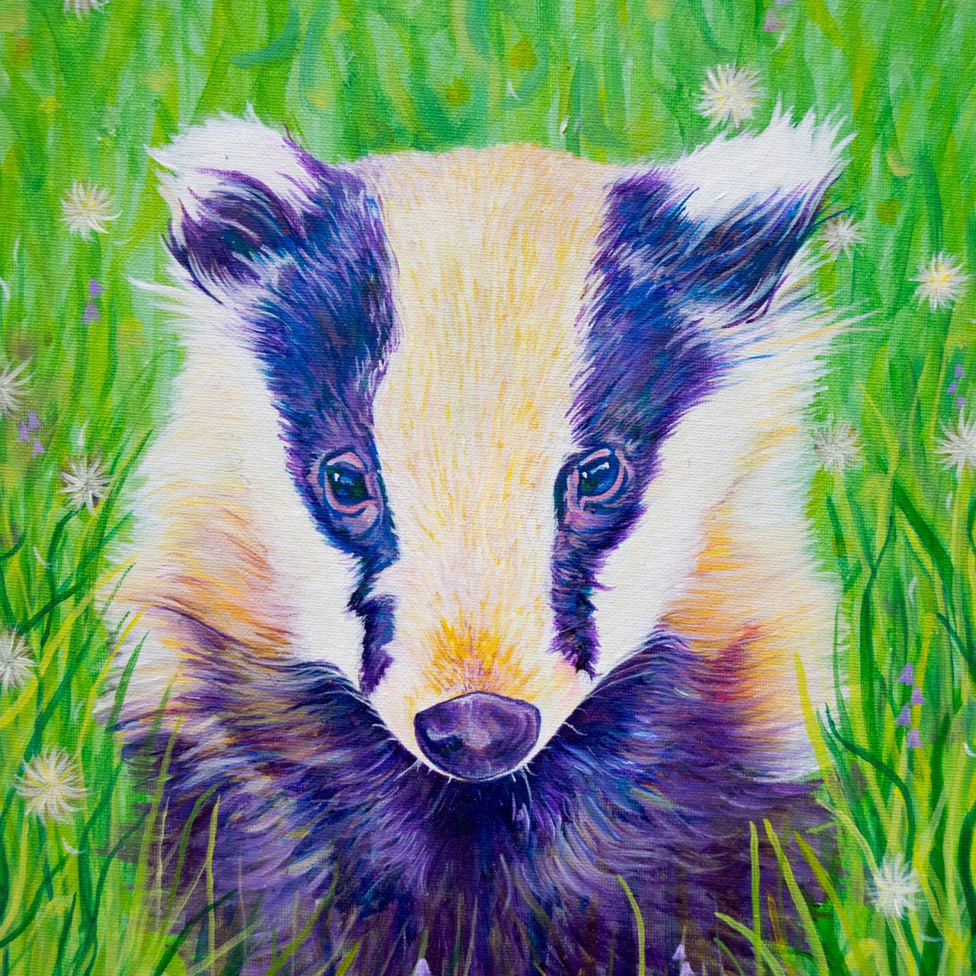 Badger in Meadow Print