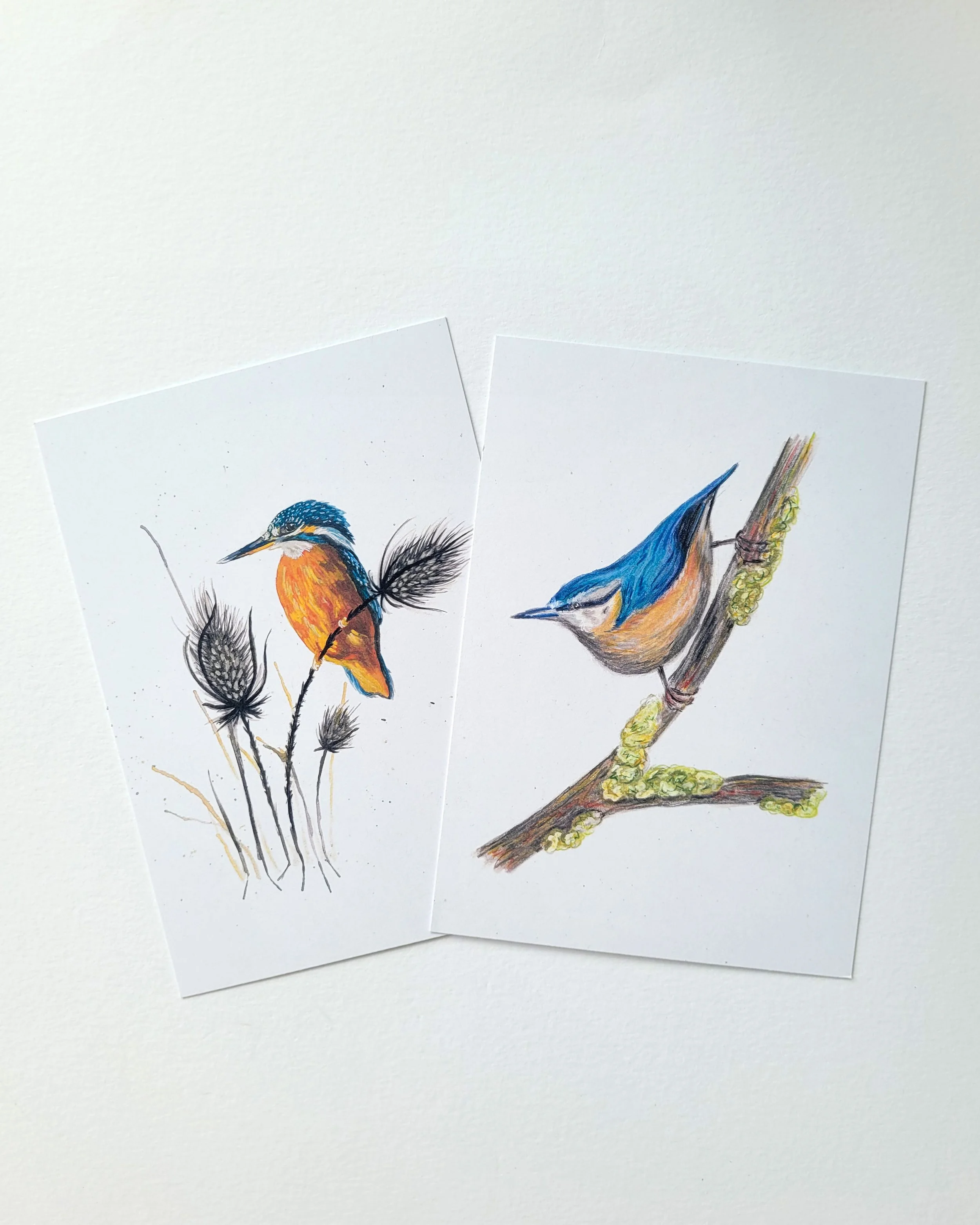 Postcards - Birds